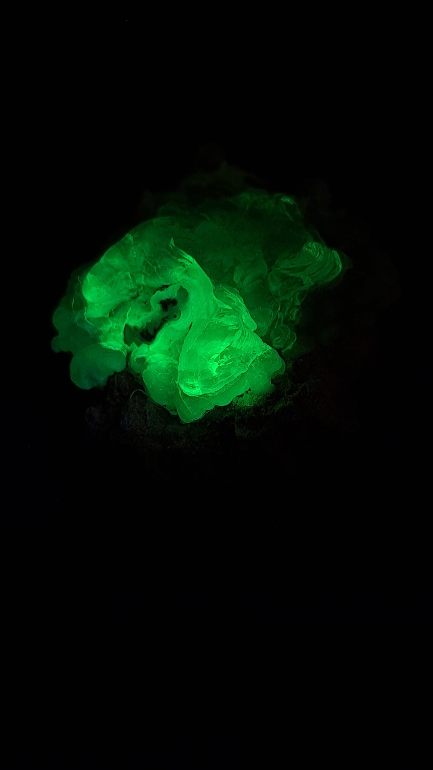 Hyalite Opal on Matrix (Mexico) Rough Crystal Stone | UV-Reactive Mineral Specimen #OH4