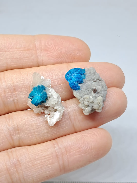 Set of Cavansite & Pentagonite on Matrix (Wagholi) Rough Stone | Natural Crystal | Rare Mineral Specimen #CV41