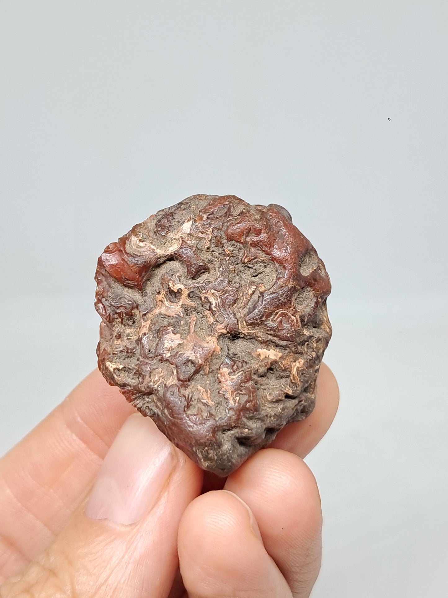 Cornalina en bruto (India) Piedra en bruto | Cristal natural | Muestra mineral #CRN36