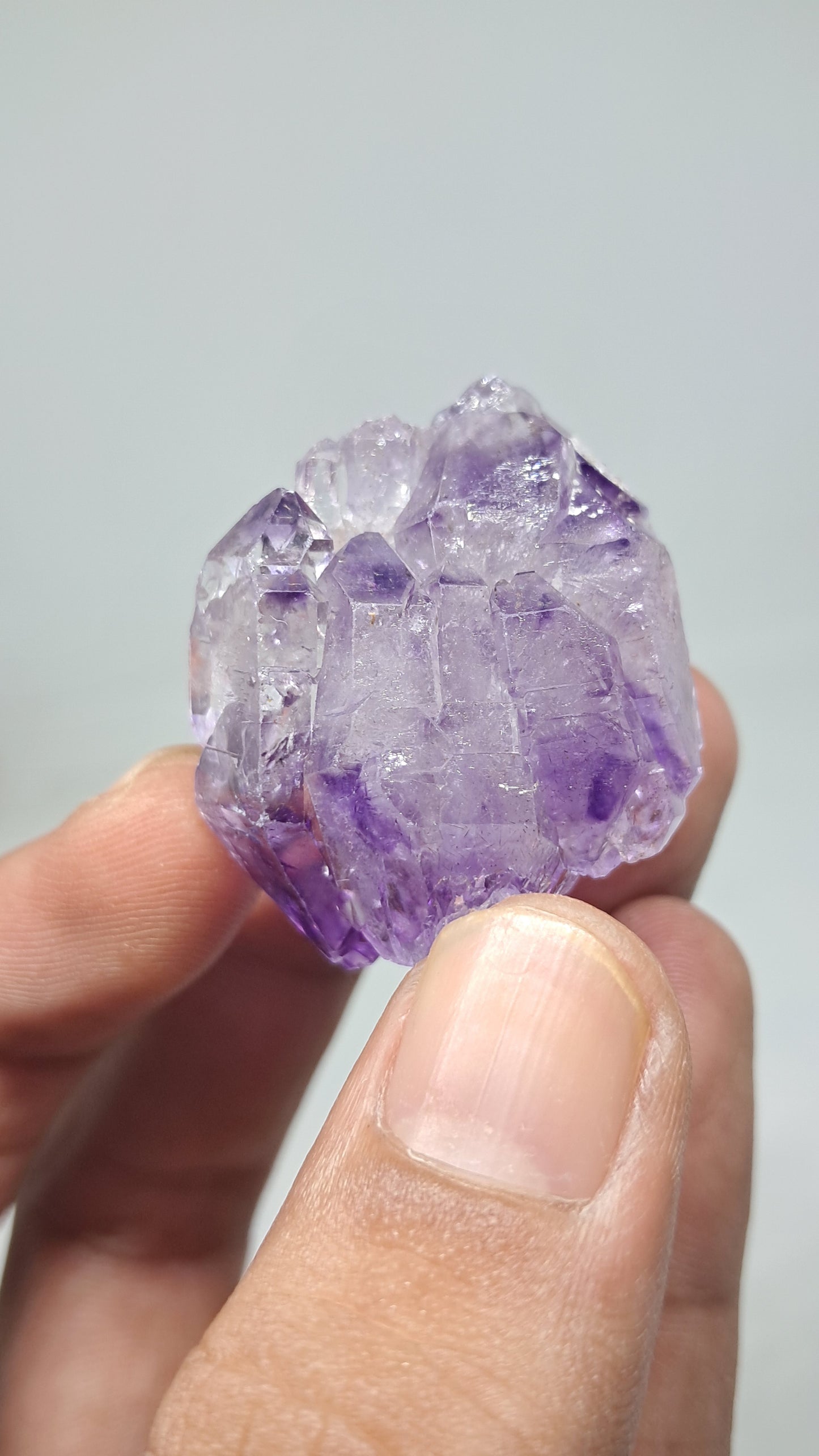Racimo de Cetros de Amatista | Formación Elestial | Cristal Natural | Muestra Mineral #KA191