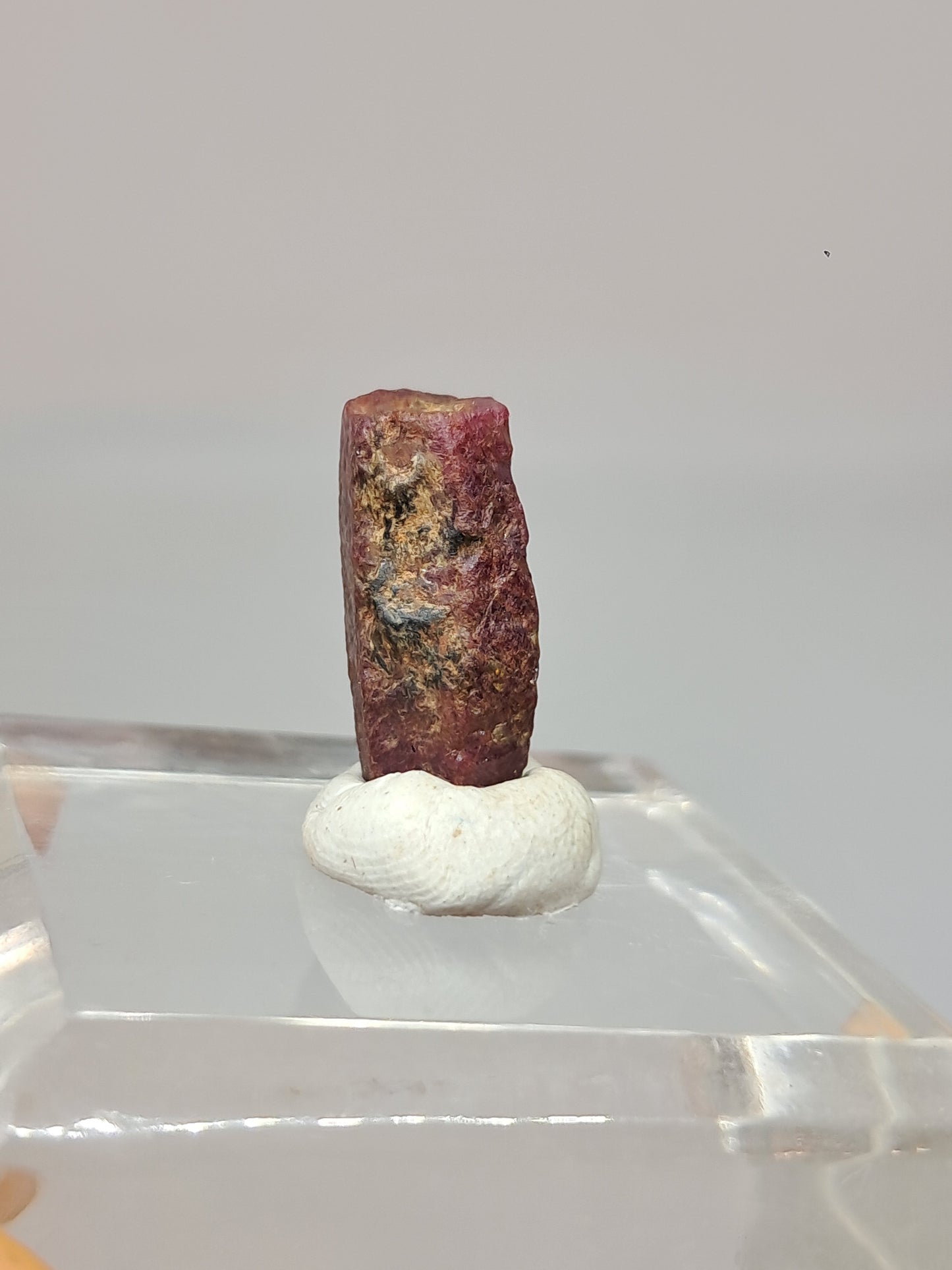 Cristal de rubí en bruto (Tamil Nadu) Piedra natural | Muestra mineral #RB29