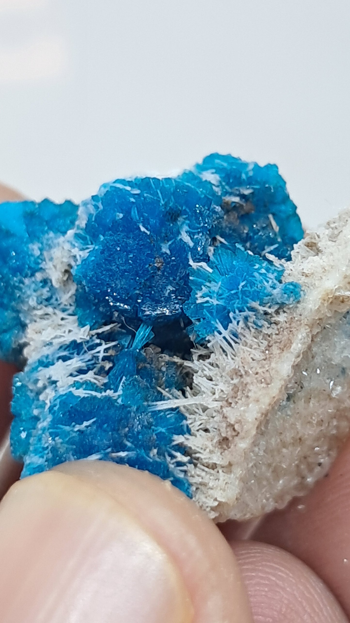 Perfect Cavansite Spheres on Fibrous Stilbite (Wagholi) Rough Stone | Natural Crystal | Rare Mineral Specimen #CV59