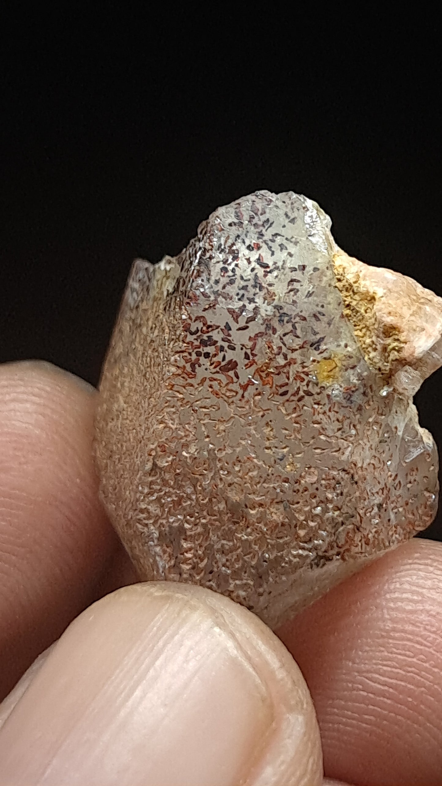 Smokey Elestial Quartz (Karur) Interesting Inclusions | Mineral Specimen #EQ31
