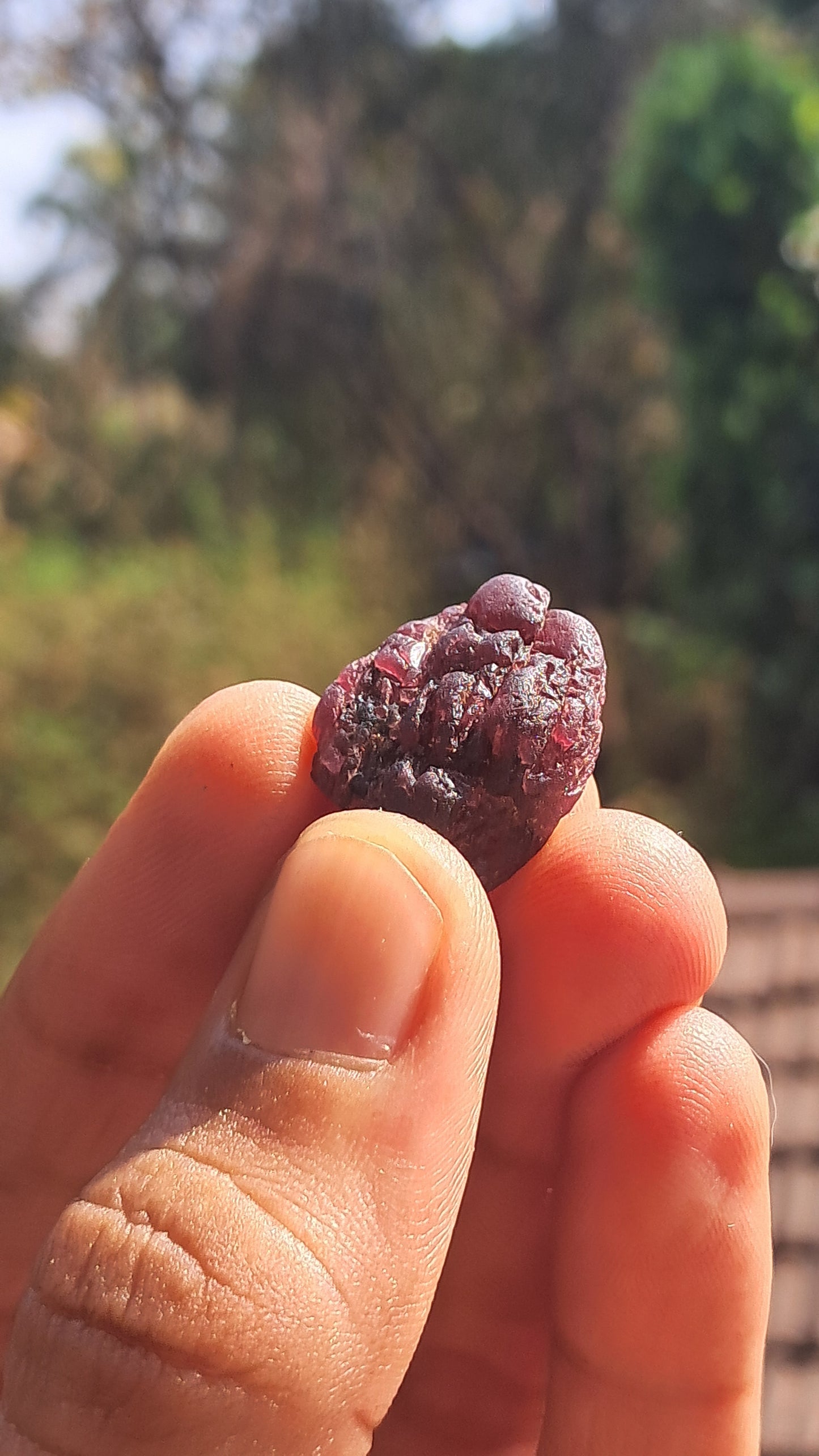 Granate rojo (Karur) | Pulido por el río | Piedra natural #RG10