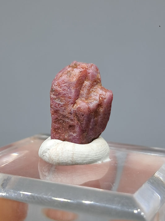 Rough Ruby Crystal (Tamil Nadu) Natural Stone | Mineral Specimen #RB22