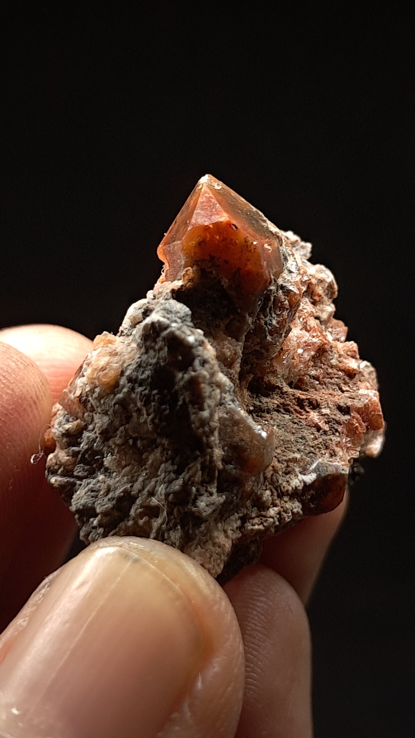Jacinto de Compostela Quartz On Matrix | Natural Crystal | Mineral Specimen #JCQ3