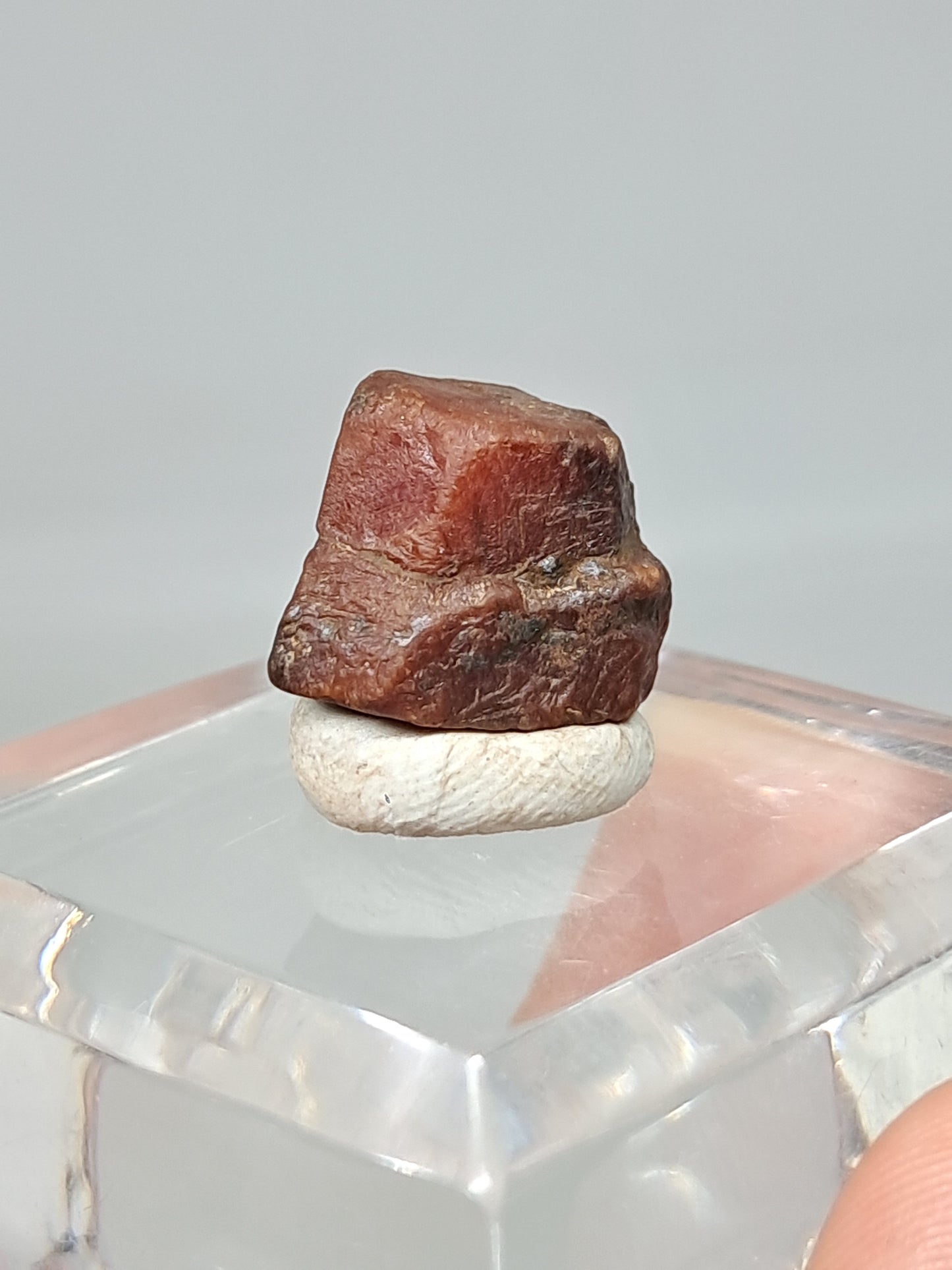 Rough Ruby Crystal w/ Record Keeper (Tamil Nadu) Natural Stone | Mineral Specimen #RB17