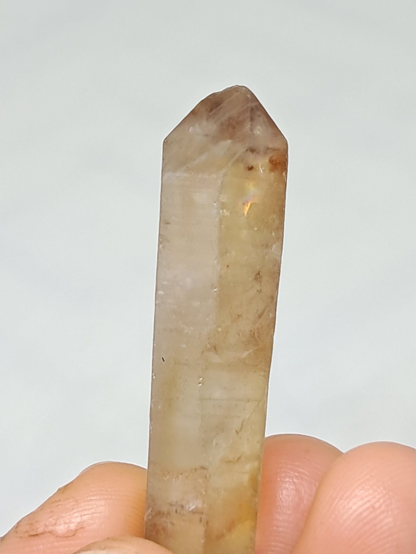 Natural Citrine Crystal Point (Democratic Republic of Congo) #CTN33
