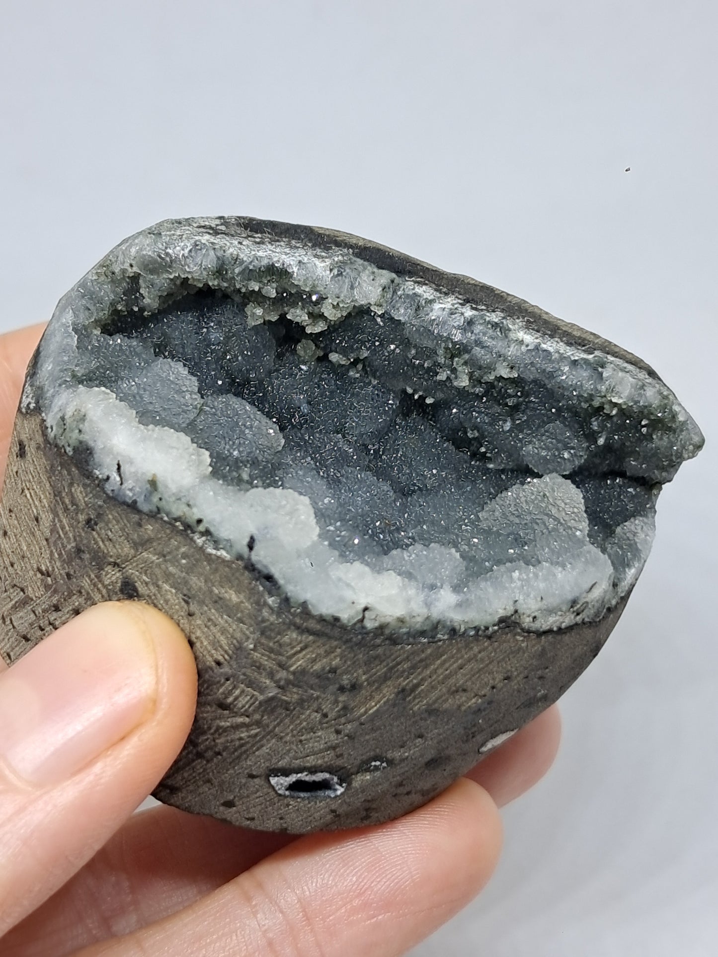 Botryoidal Black Chalcedony in Basalt Geode #BC9