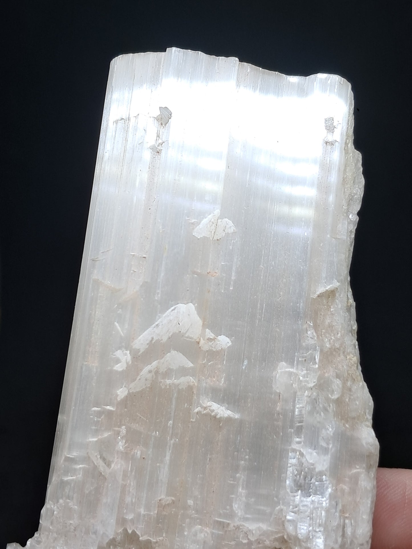 Satin Spar *Selenite* (India) Fibrous Gypsum | Mineral Specimen | Rough Crystal #SE1