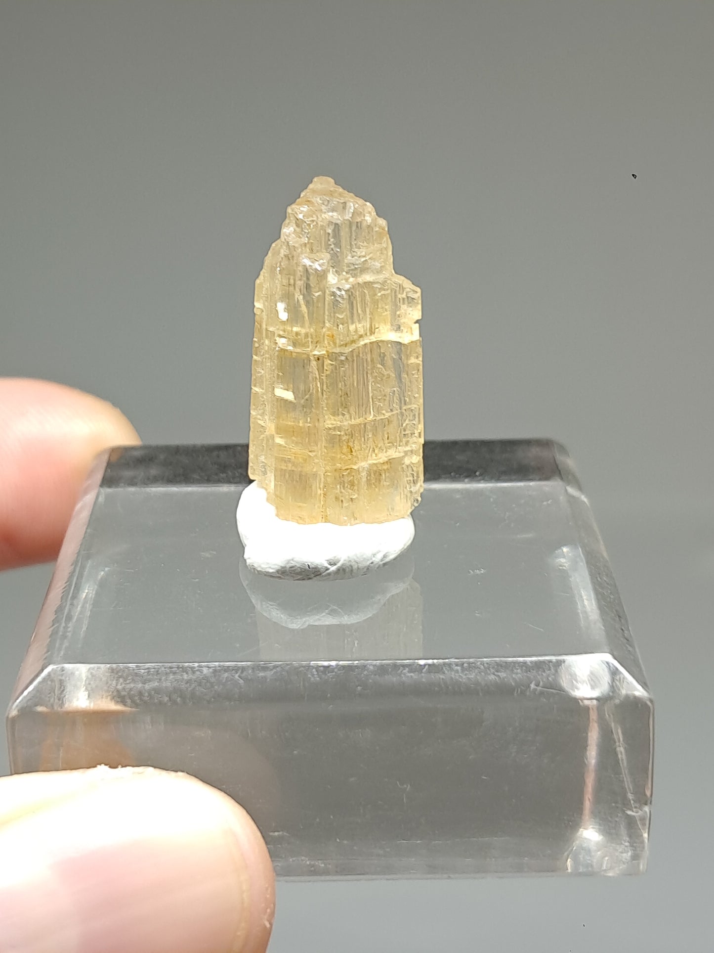 Fluorescent Scapolite Crystal (Karur) UV Reactive | Natural Stone | Mineral Specimen #SCP12