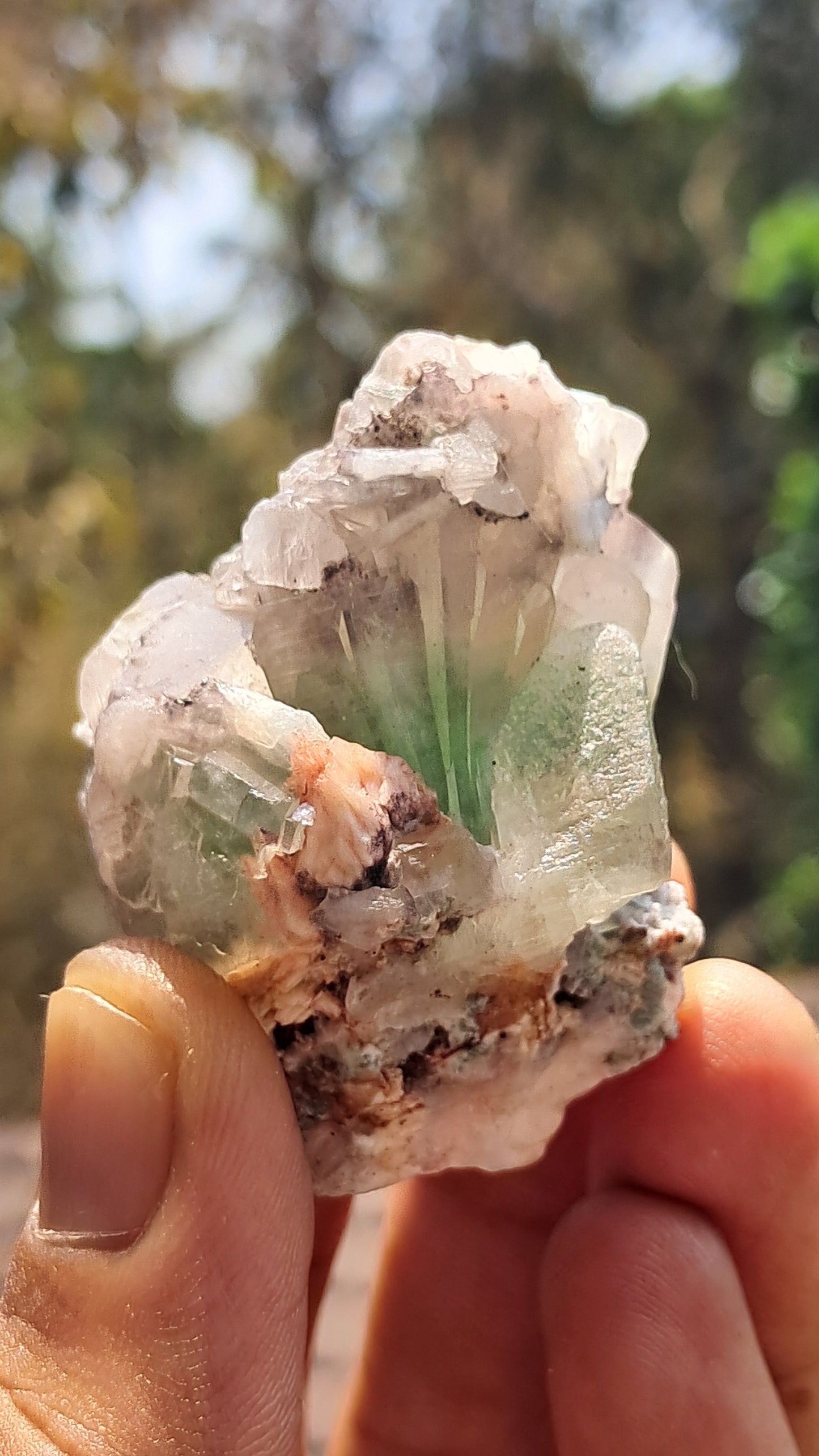 Apofilita Verde (Fluorapofilita) en Matriz (Ajanta) Cristal Natural | Muestra Mineral #GA24
