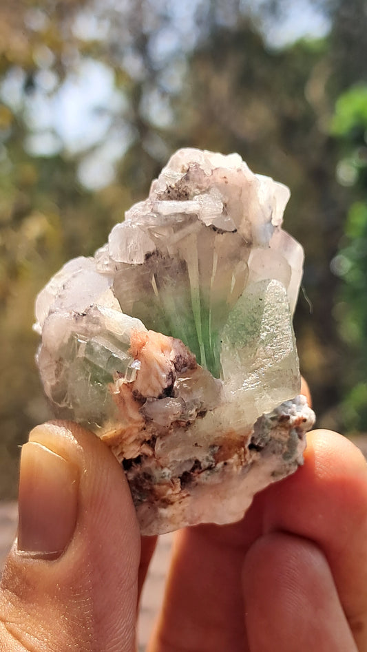 Apofilita Verde (Fluorapofilita) en Matriz (Ajanta) Cristal Natural | Muestra Mineral #GA24