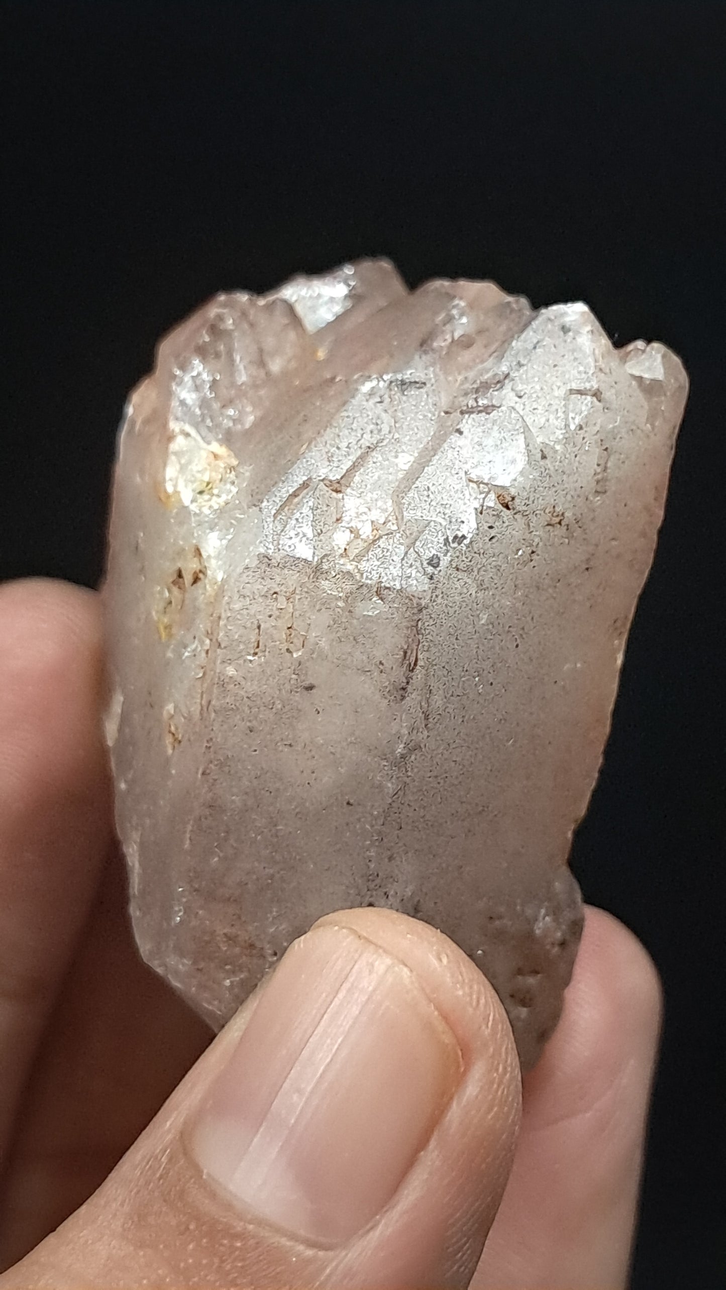 Elestial Smokey Quartz (Karur) Raw Natural Crystal Stone | Mineral Specimen #EQ17