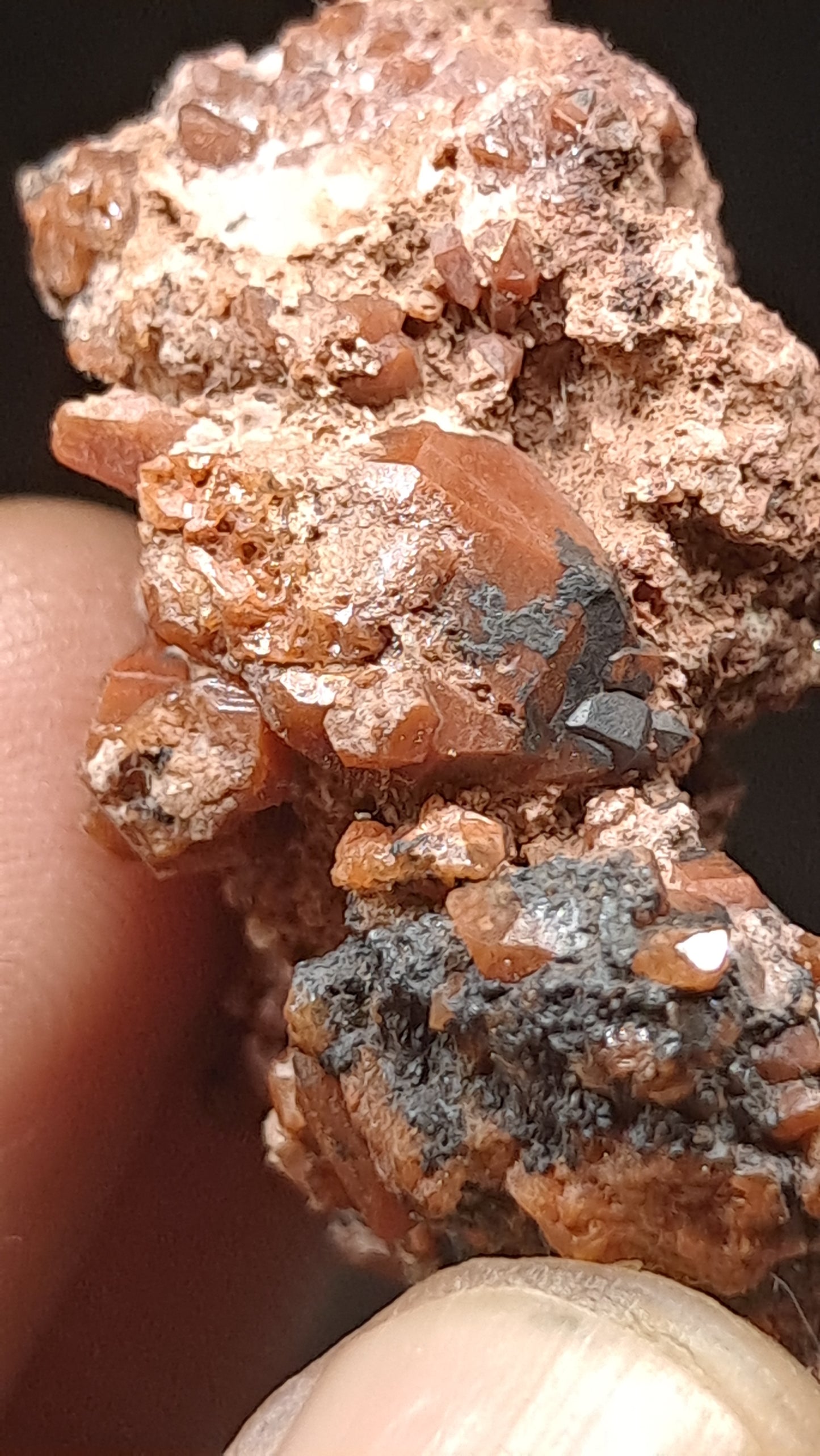 Jacinto de Compostela Quartz Cluster On Matrix | Natural Crystal | Mineral Specimen #JCQ7