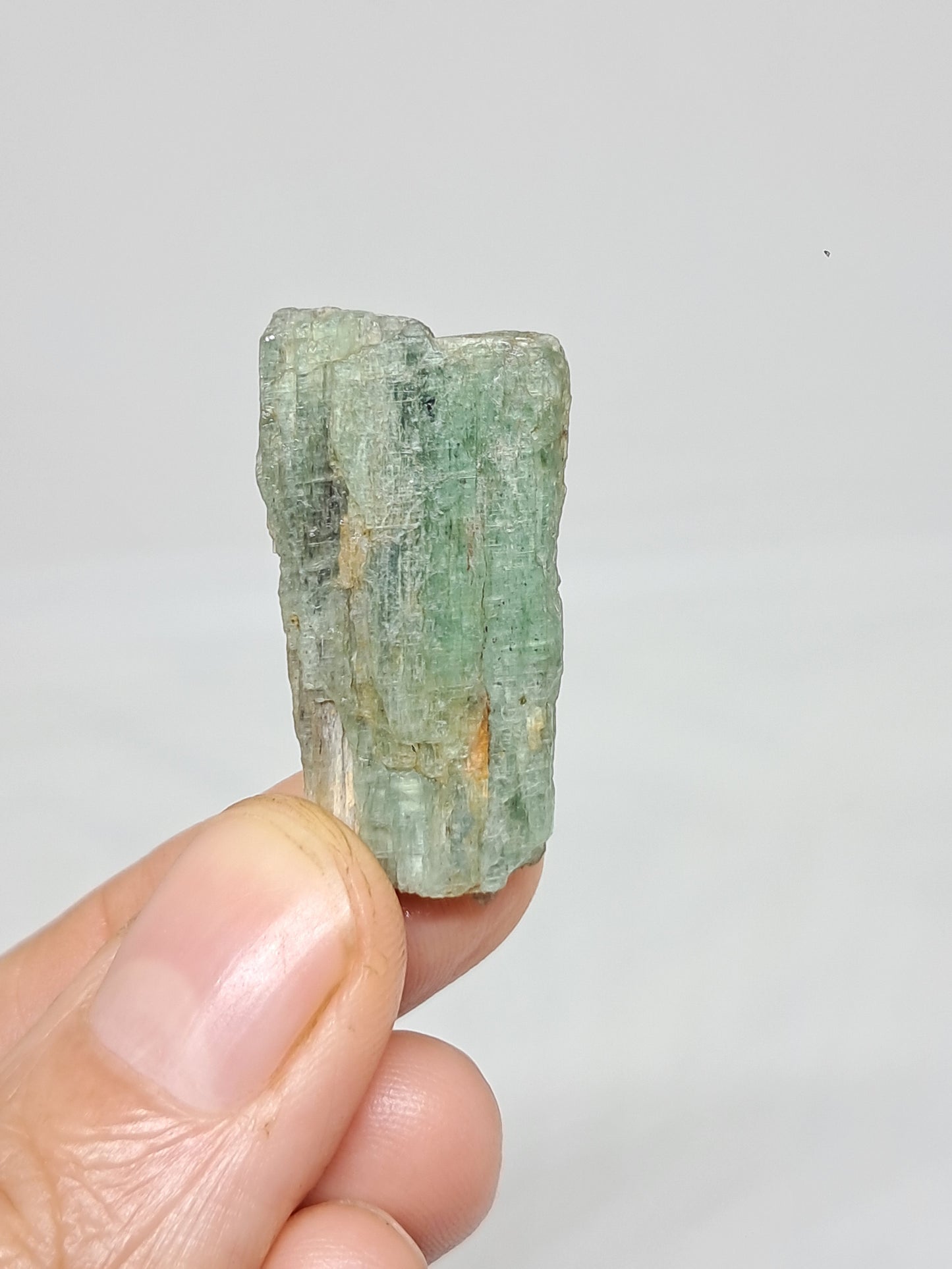 Green Kyanite (Tamil Nadu) Natural Crystal #KY8