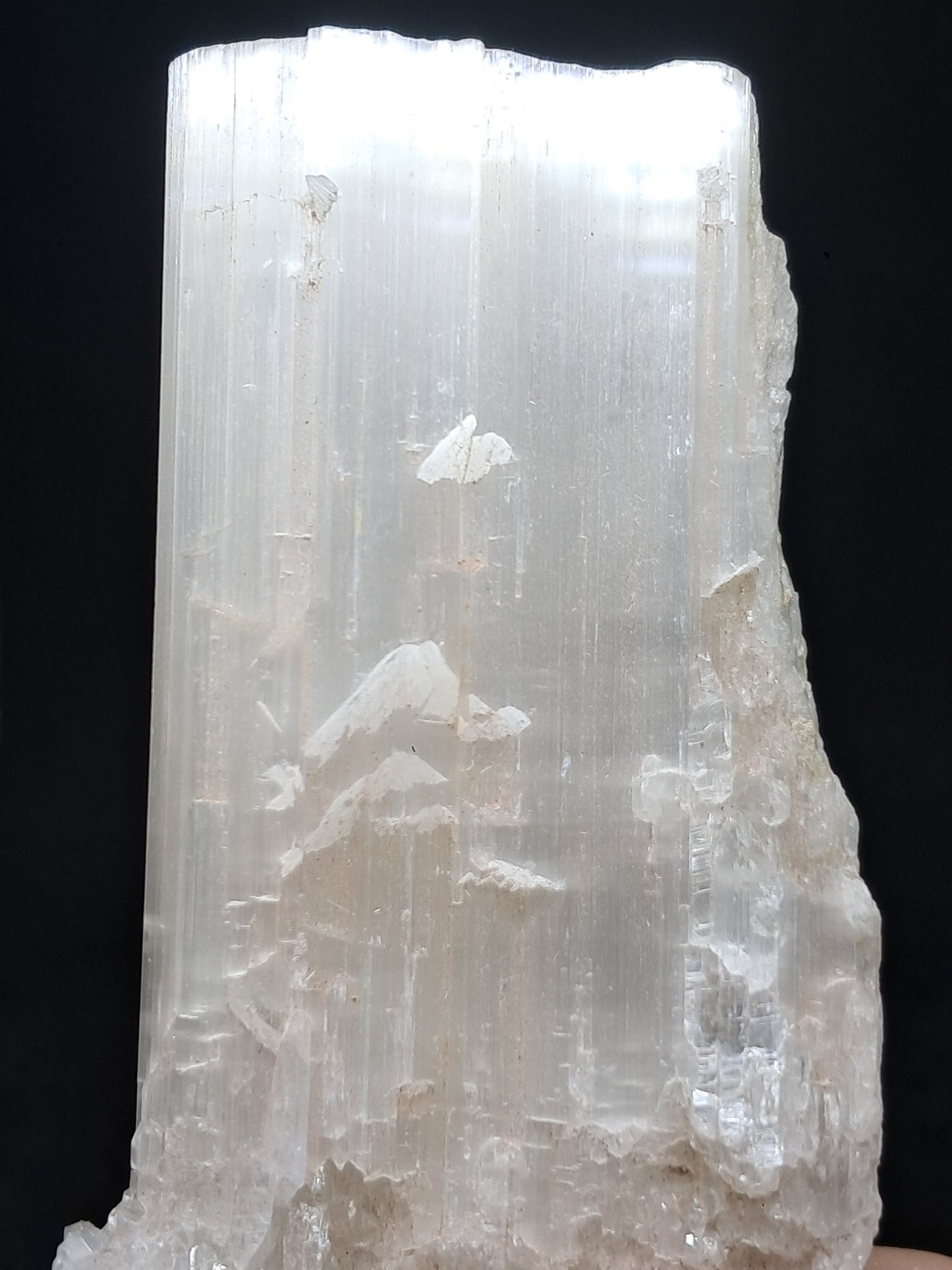 Satin Spar *Selenite* (India) Fibrous Gypsum | Mineral Specimen | Rough Crystal #SE1