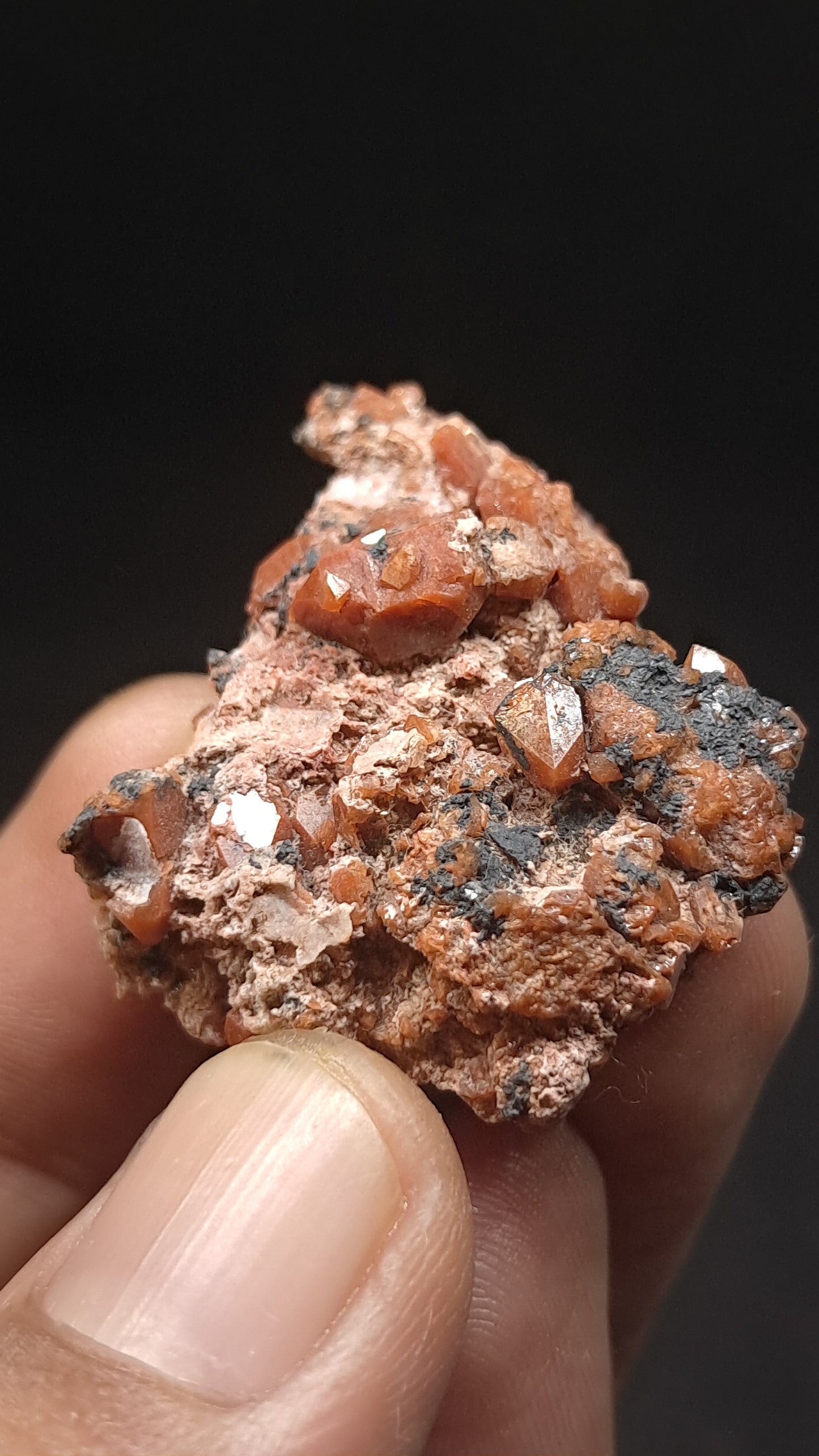 Jacinto de Compostela Quartz Cluster On Matrix | Natural Crystal | Mineral Specimen #JCQ7