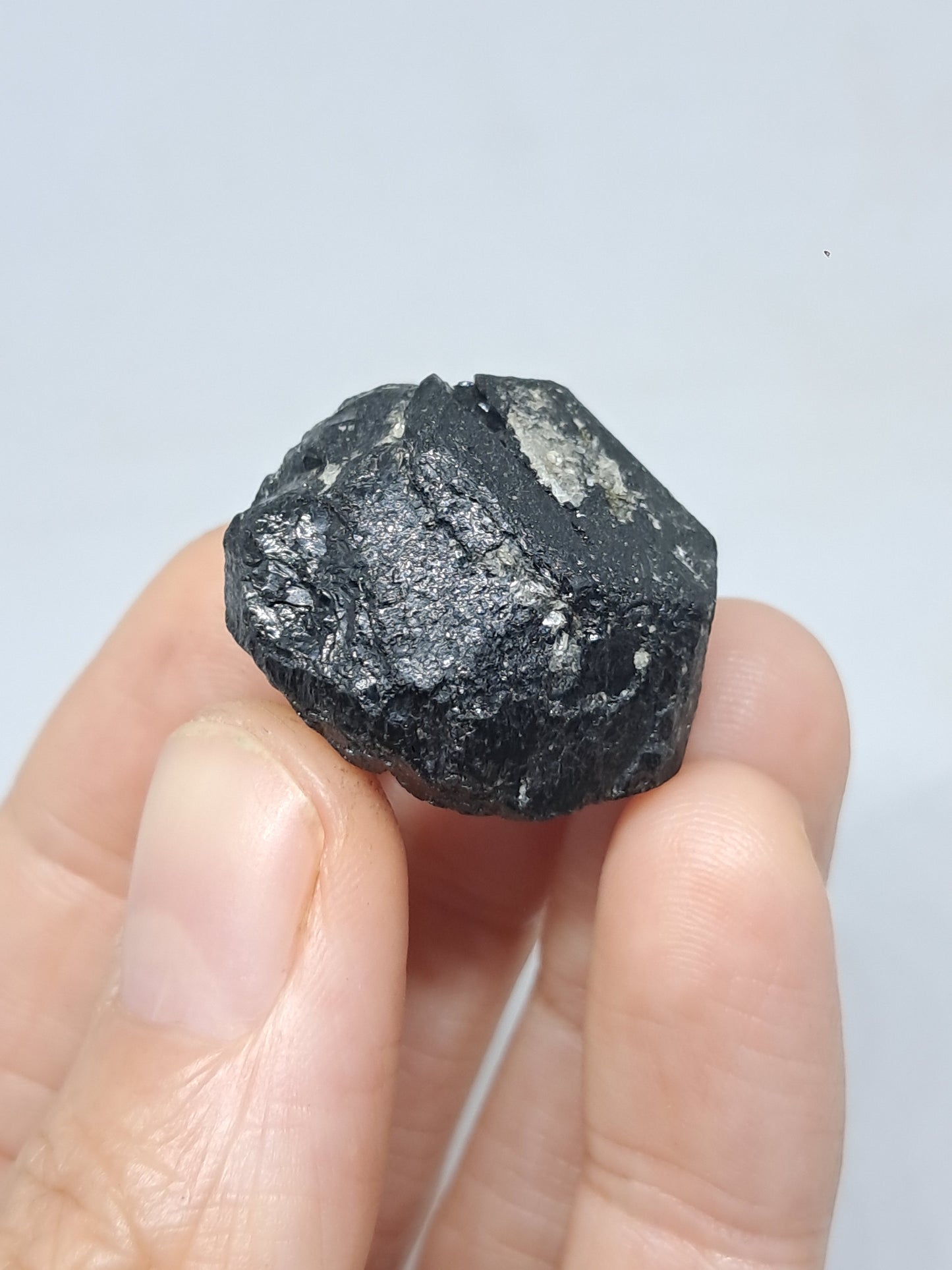 Black Tourmaline Crystal (Karnataka) Naturally Terminated | Natural Stone | Mineral Specimen #BT8