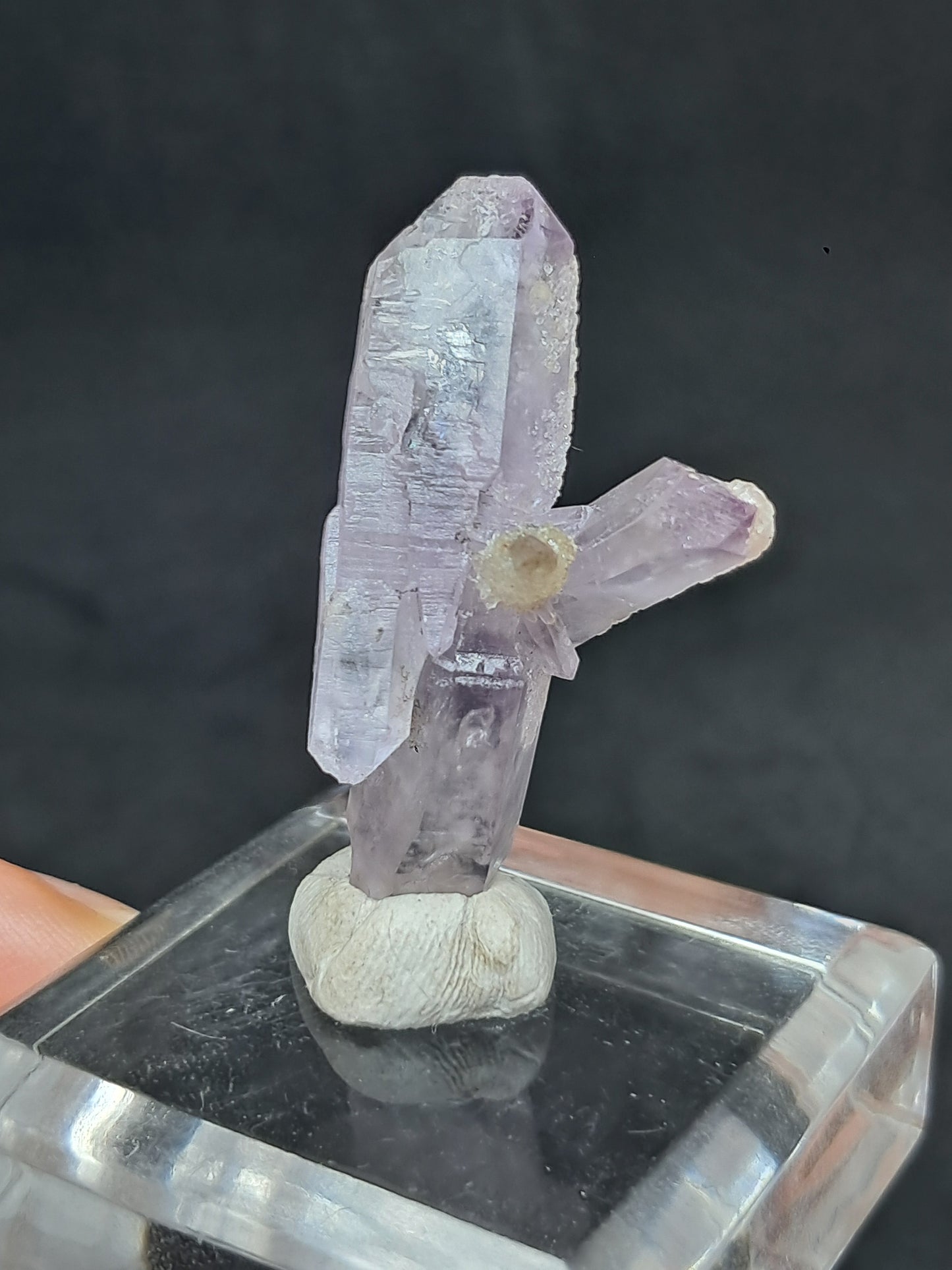 Cúmulo de cetro de amatista de Veracruz (México) | Cristal natural | Ejemplar mineral n.° VA40
