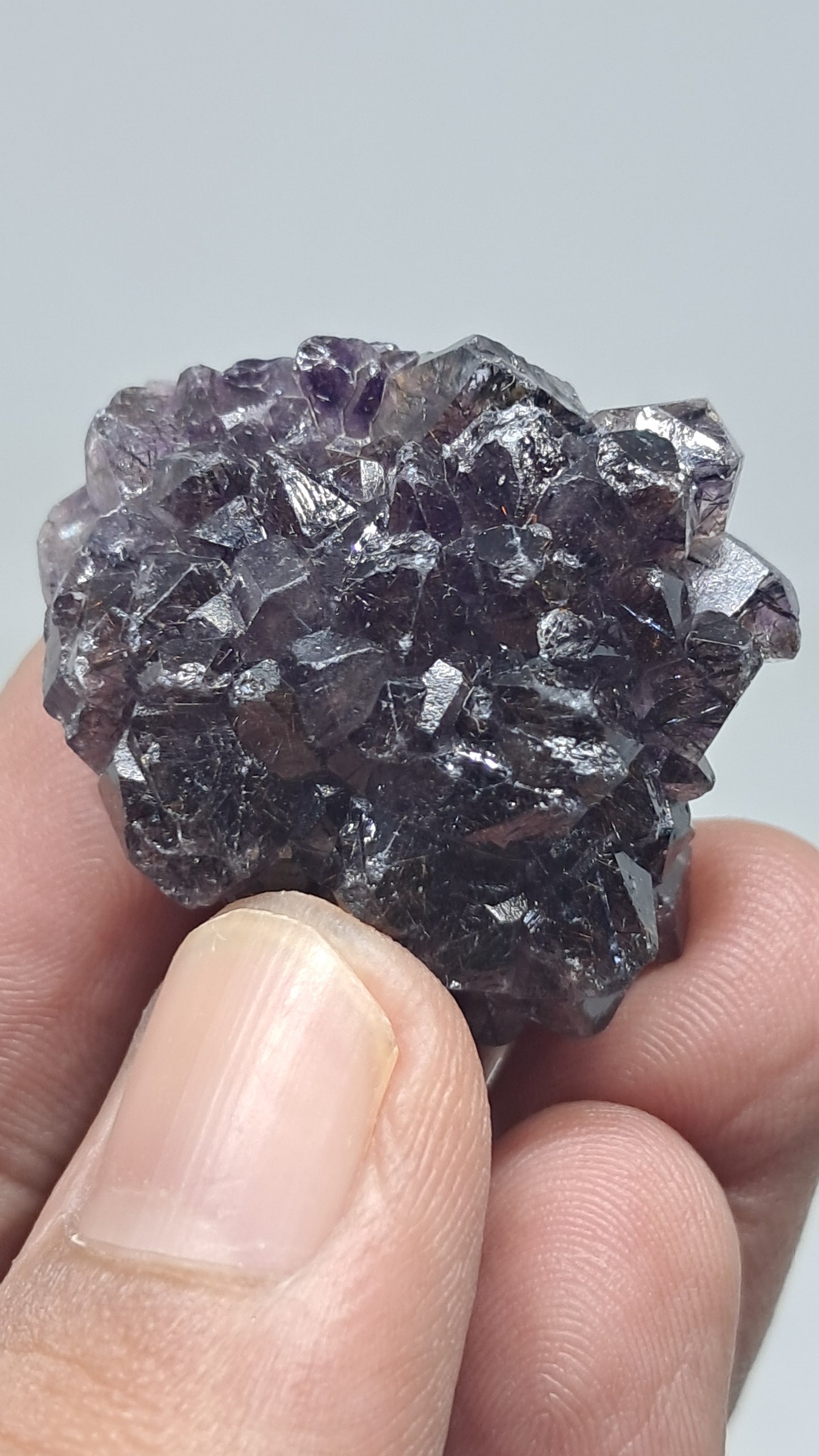 Amatista Elestial Morada Oscura sobre Cuarzo | Inclusiones de Hematita Goethita Rutilo | Cristal Natural | Muestra Mineral #KA194