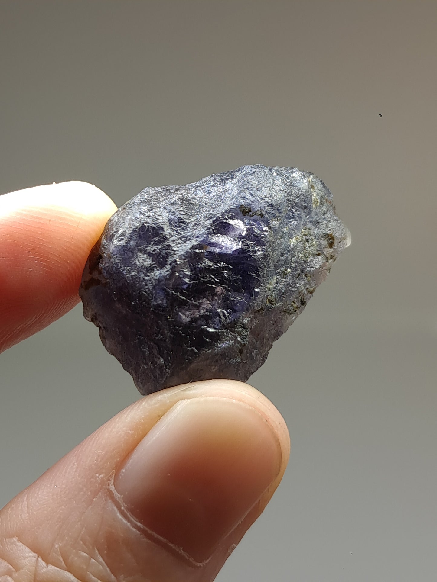 Rough Iolite Crystal w/ Hematite Inclusions (Karur) *Gem Quality* Cordierite | Excelent Pleochroism | Mineral Specimen #IO5