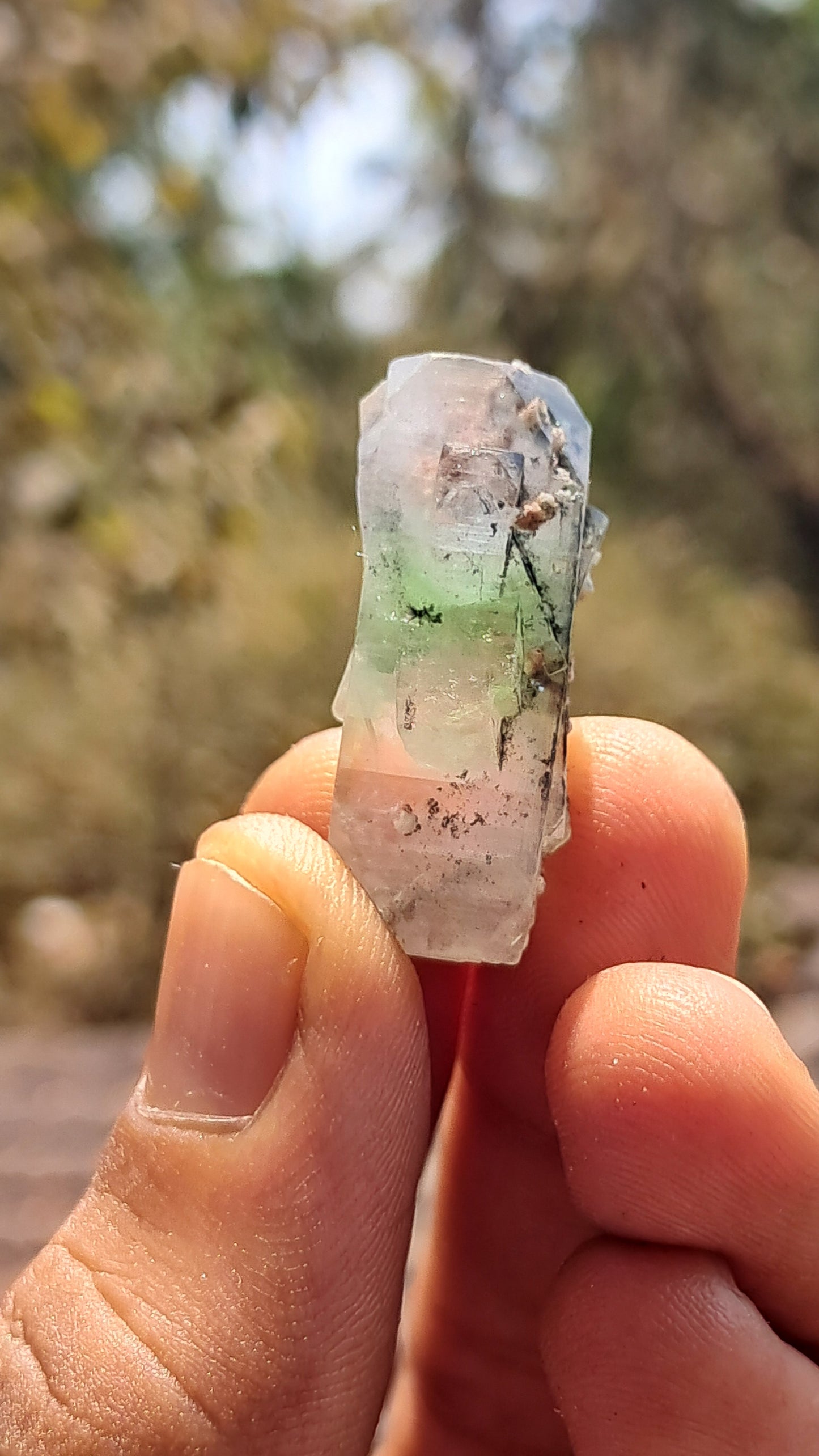 Green Apophyllite (Fluorapophyllite) (Ajanta) Natural Crystal | Mineral Specimen #GA26