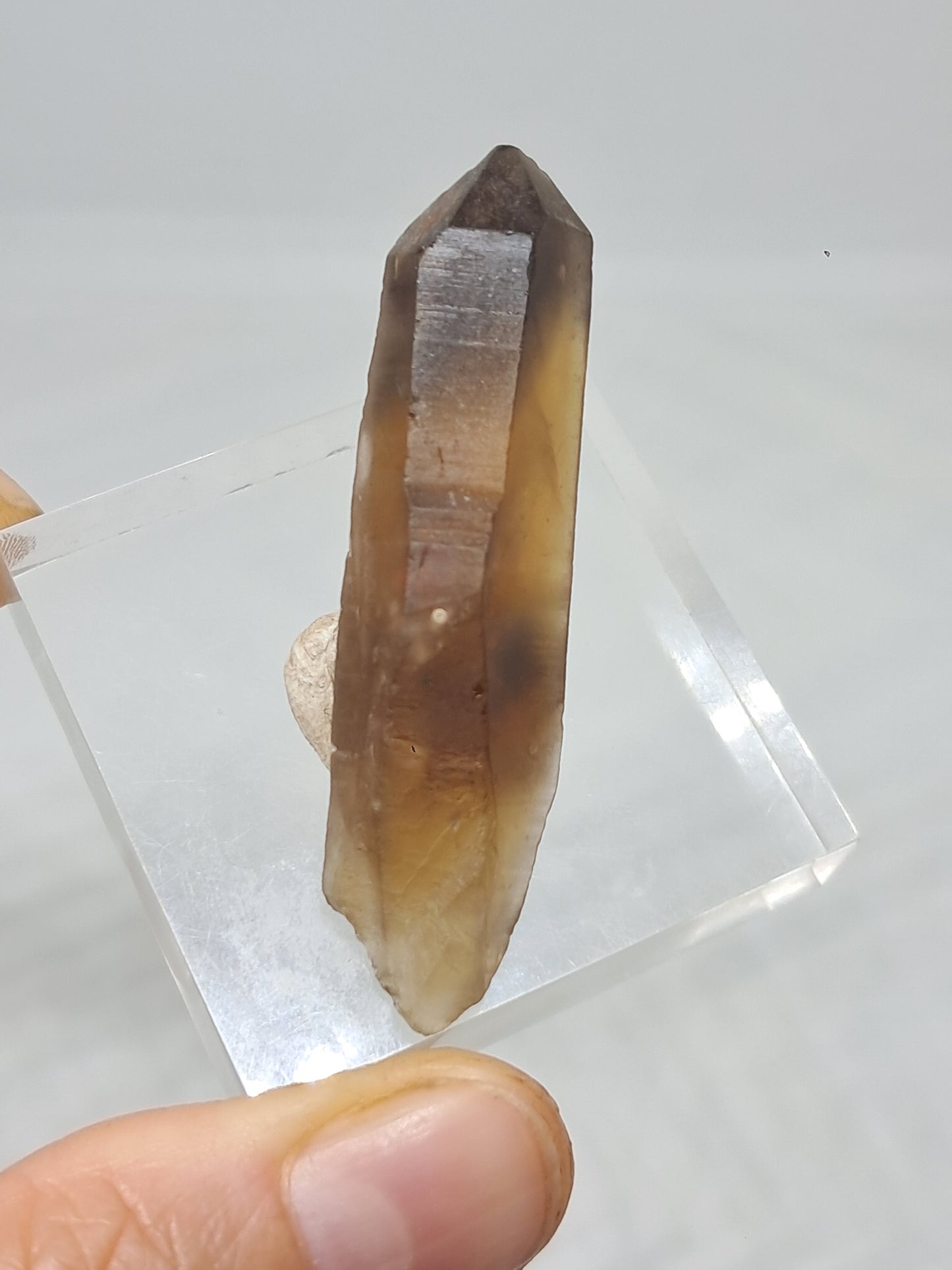 Natural Citrine Crystal Point w/ Self-Healed Termination (Democratic Republic of Congo) #CTN30