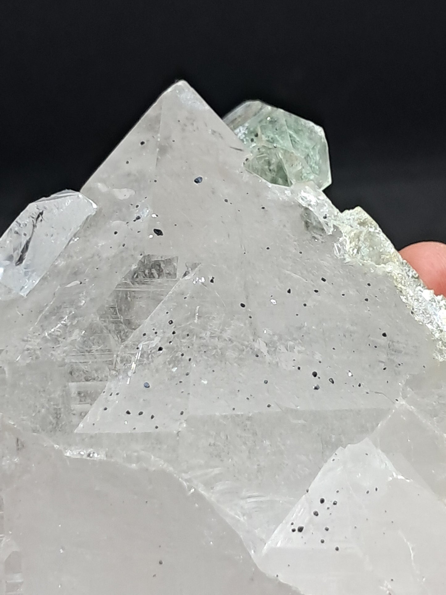 Himalayan Quartz Crystal Point with Magnetite Inclusions XL | High Grade | Natural Stone | Mineral Specimen #CH54