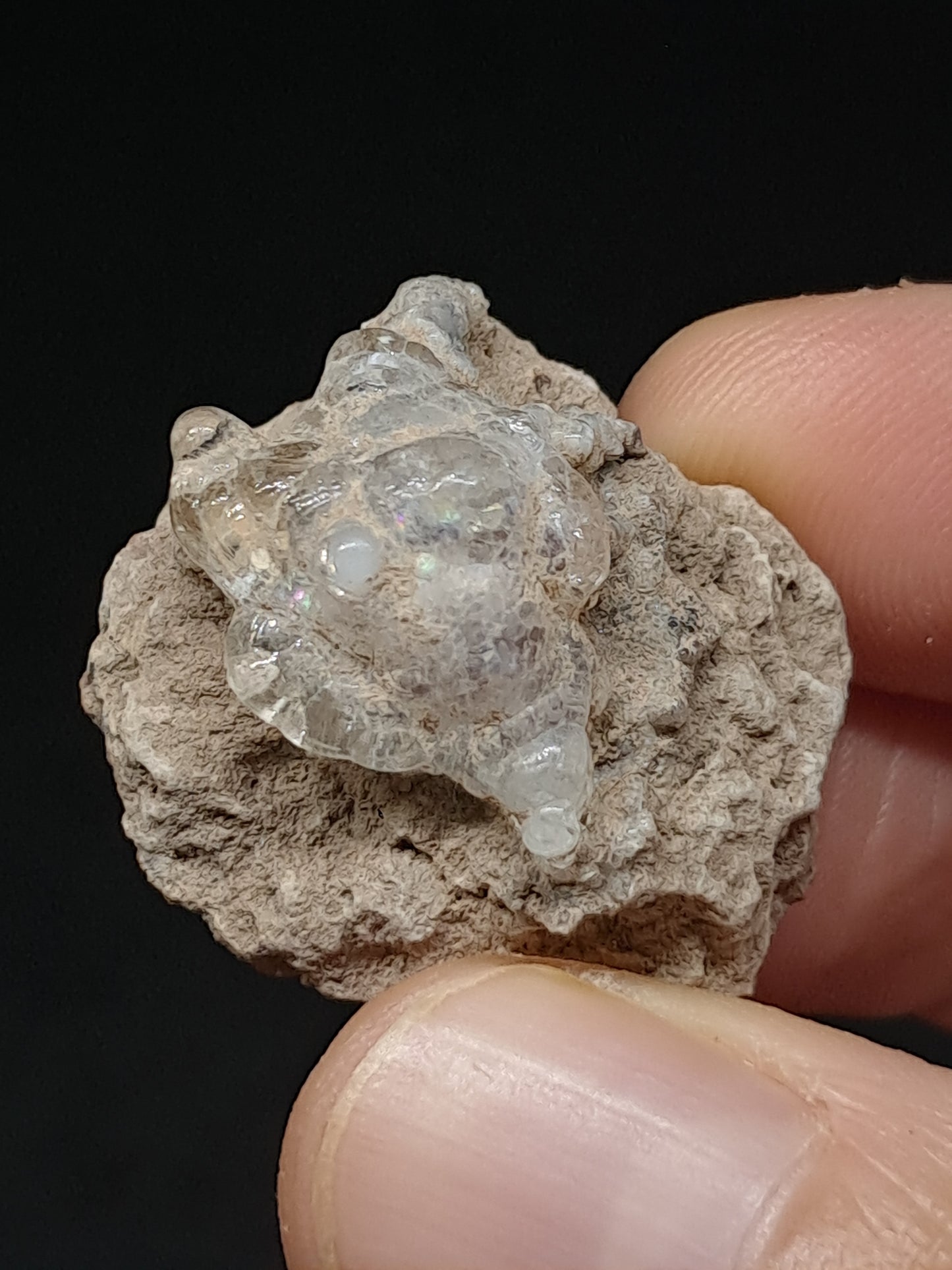 Hyalite Opal on Matrix (Mexico) Rough Crystal Stone | UV-Reactive Mineral Specimen #OH10