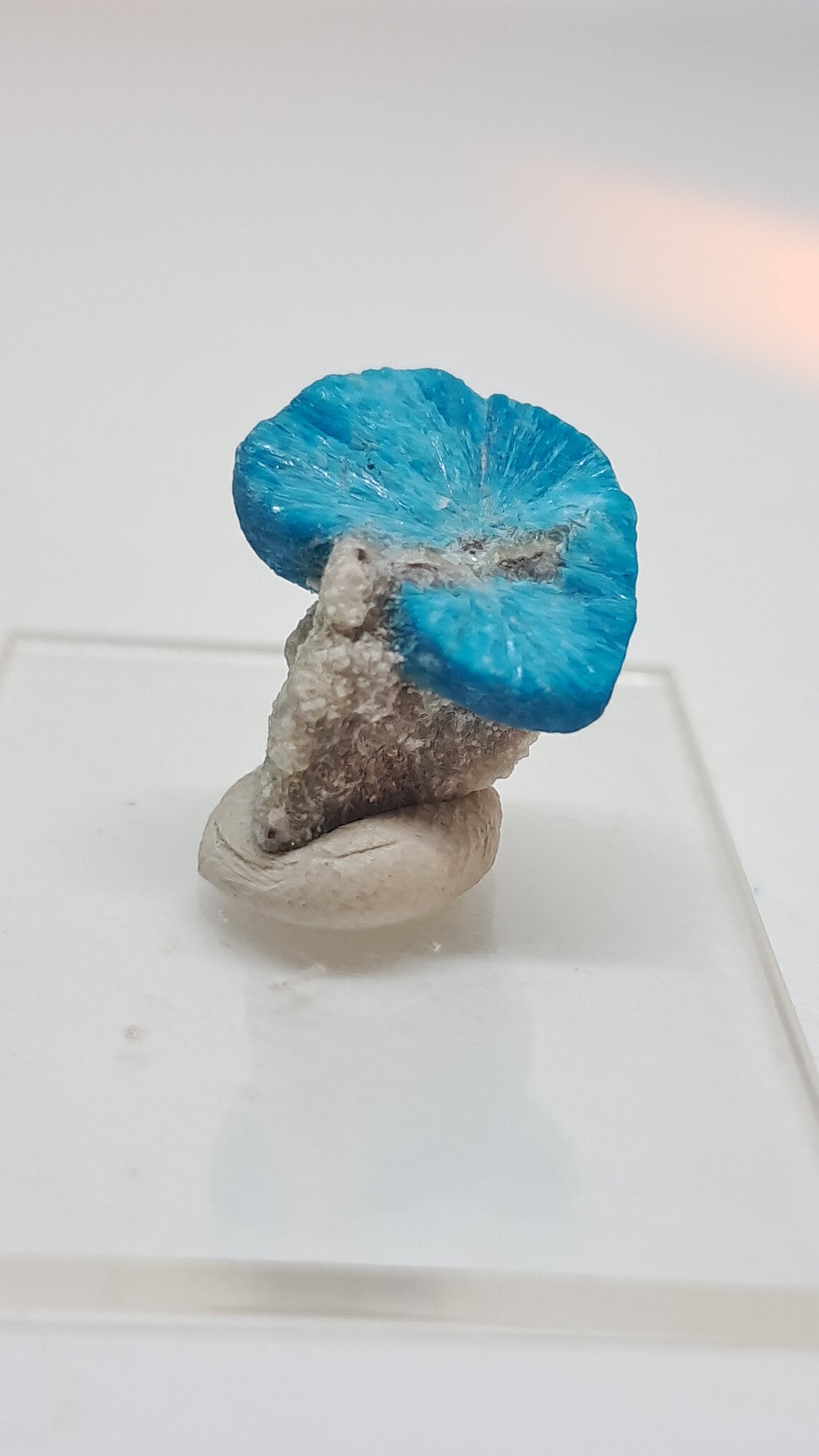 Cavansita en Matriz (Wagholi) Cristal en Bruto | Piedra Natural | Raro Espécimen Mineral #CV61