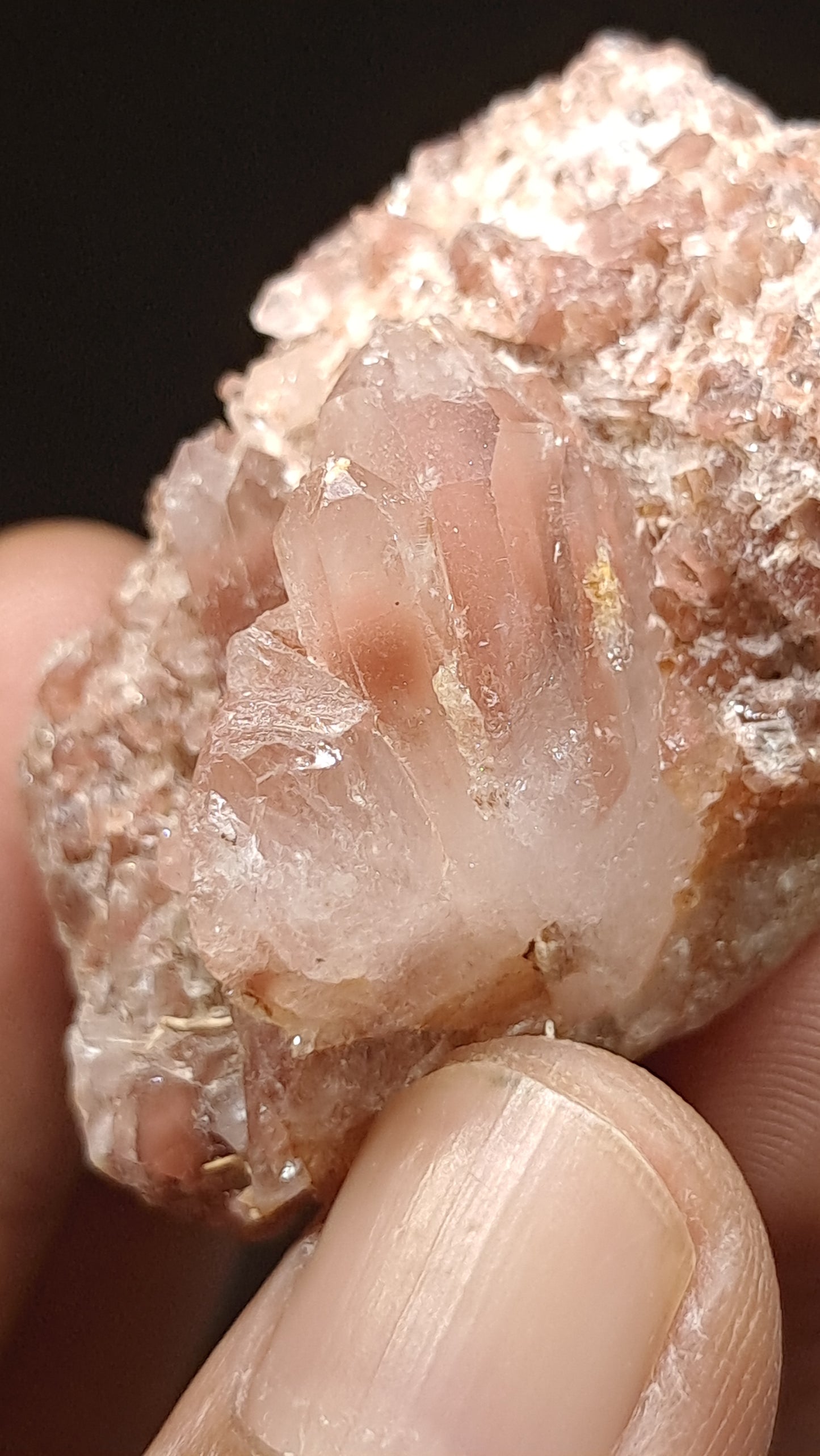 Jacinto de Compostela Quartz Cluster On Matrix | Natural Crystal | Mineral Specimen #JCQ10