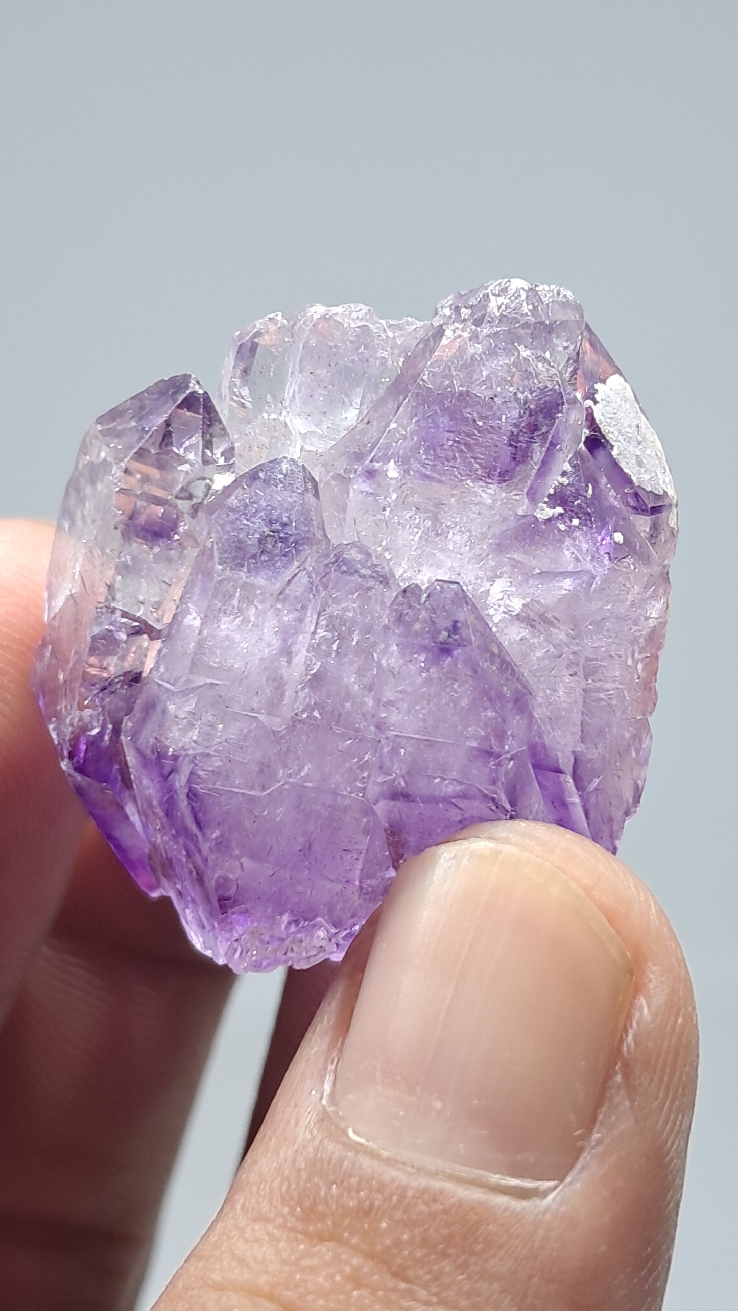 Racimo de Cetros de Amatista | Formación Elestial | Cristal Natural | Muestra Mineral #KA191