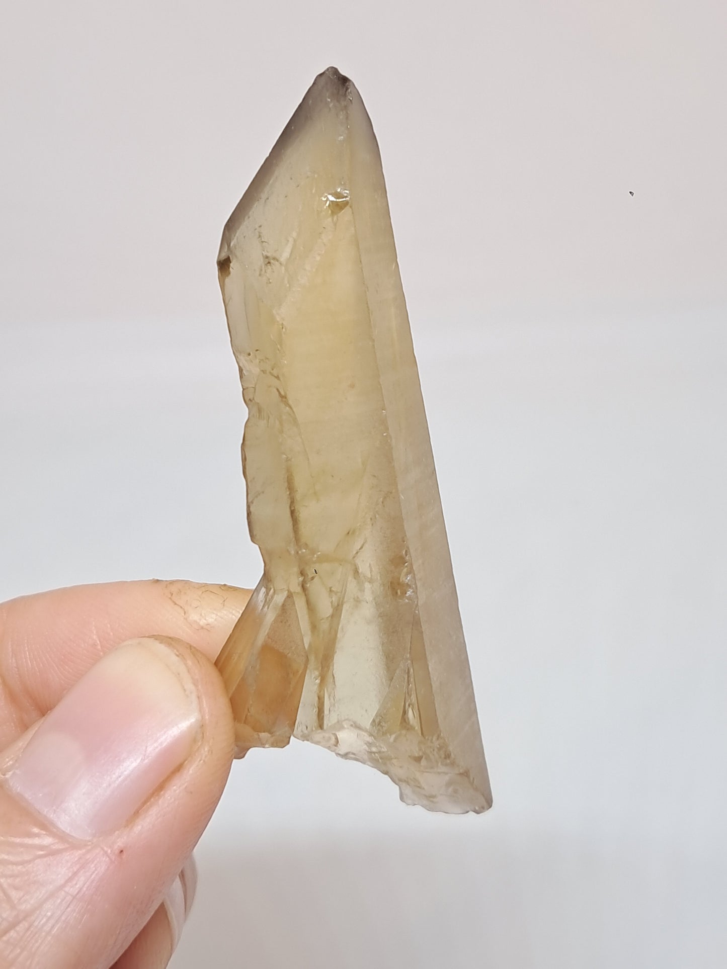 Natural Citrine Stone (DRC) Crystal Point  #CTN26