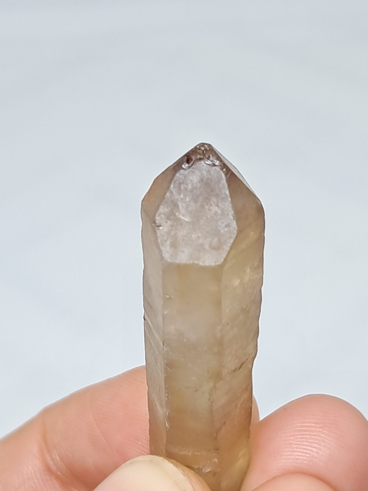 Natural Citrine Crystal Point (Democratic Republic of Congo) #CTN33