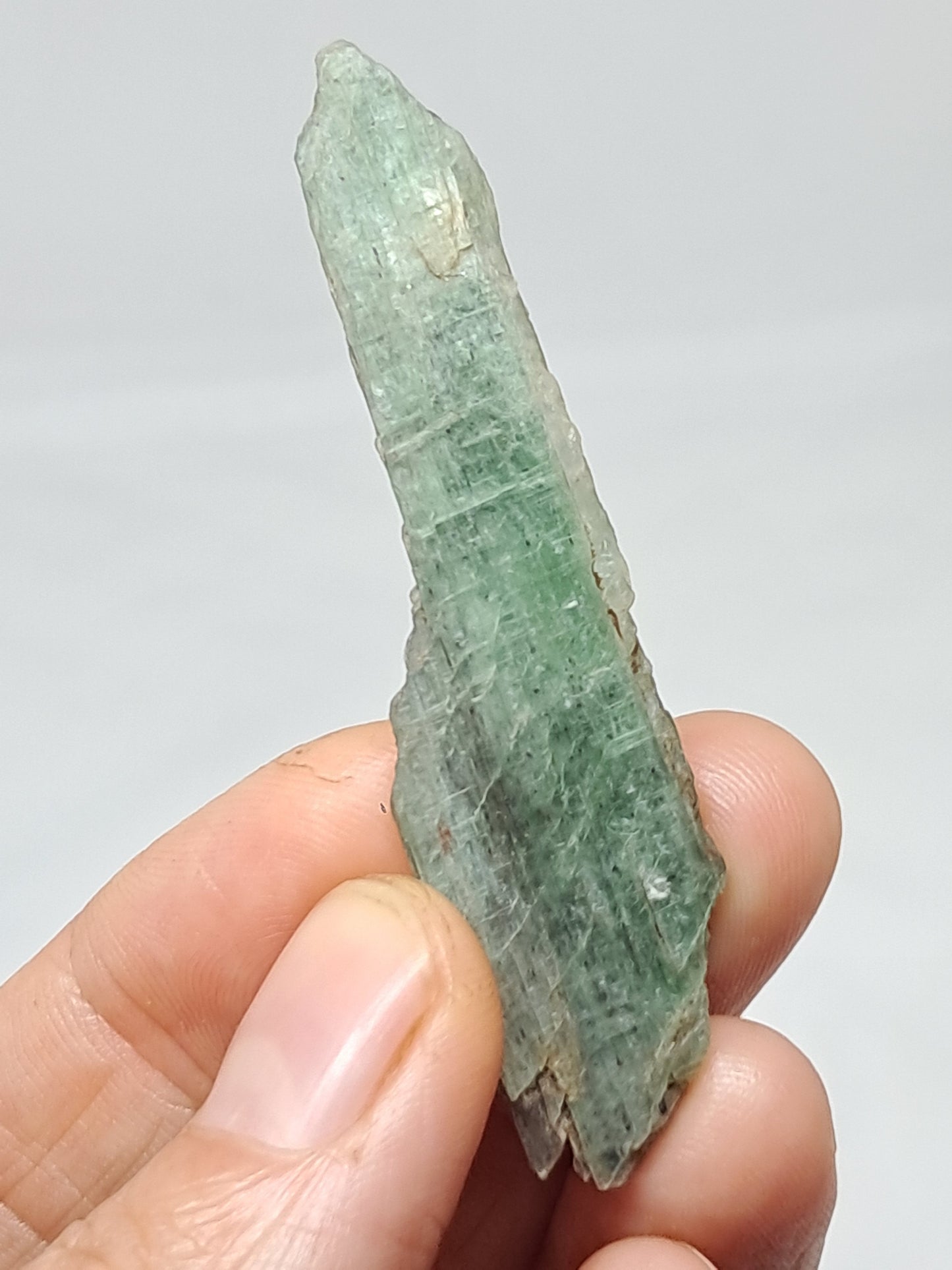Green Kyanite (Tamil Nadu) Natural Crystal #KY9