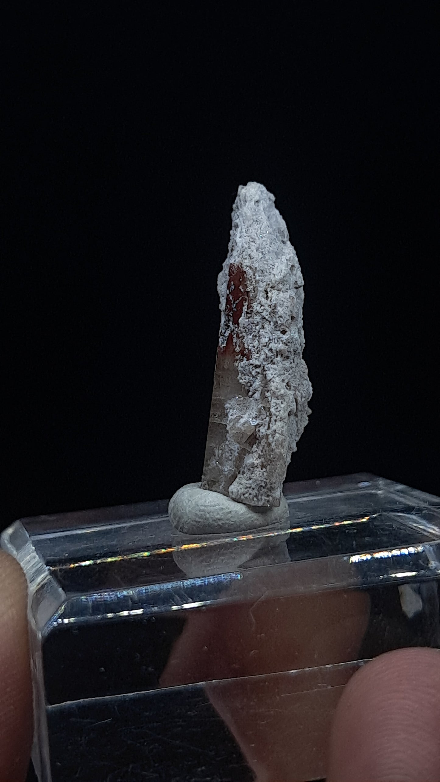 Natural Topaz Crystal (Mexico) Rare Gemstone | Mineral Specimen #TPZ44