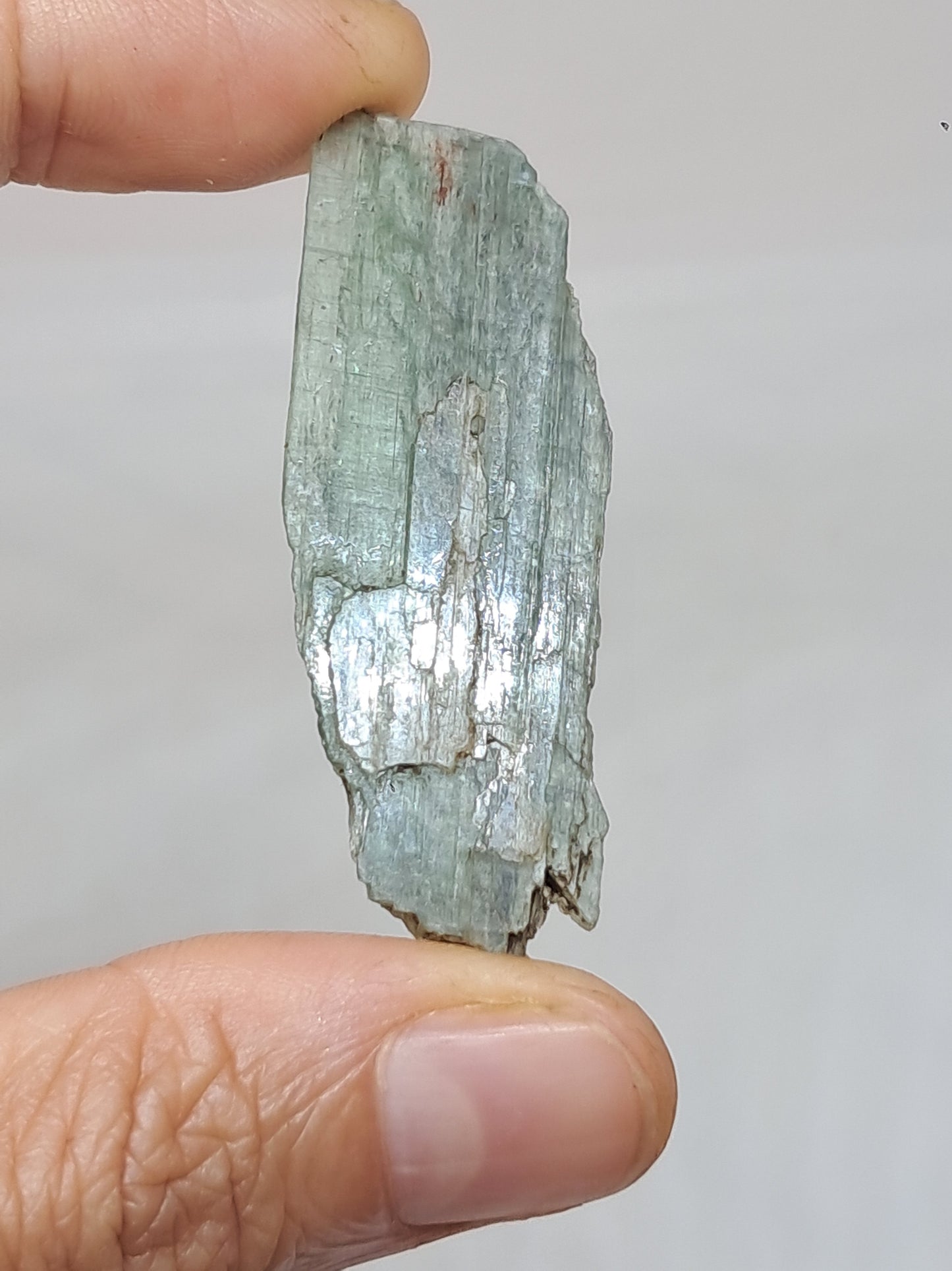 Green Kyanite (Tamil Nadu) Natural Stone #KY6