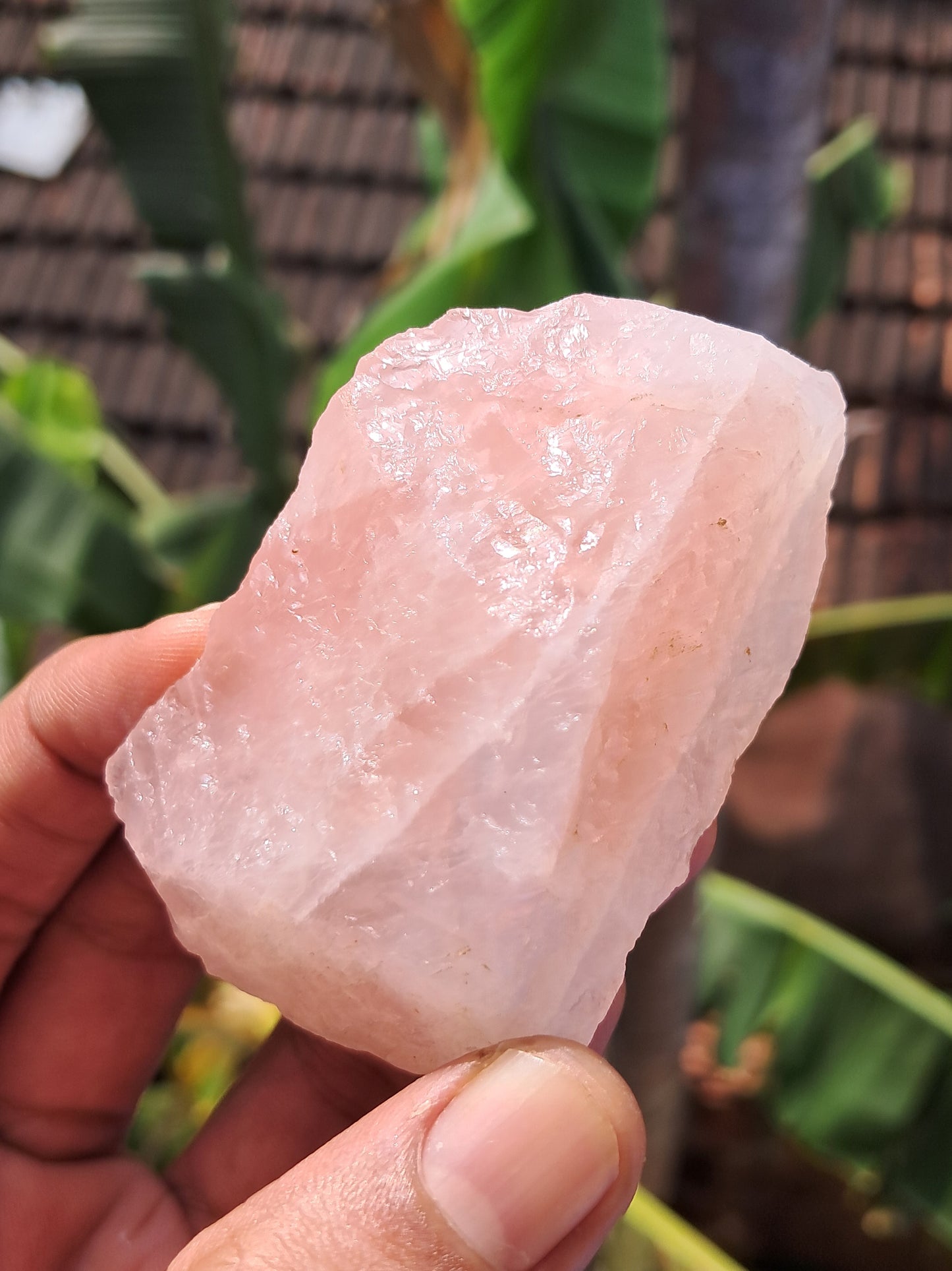 Rose Quartz (Rajasthan) Rough Stone | Natural Gemstone #RQ9