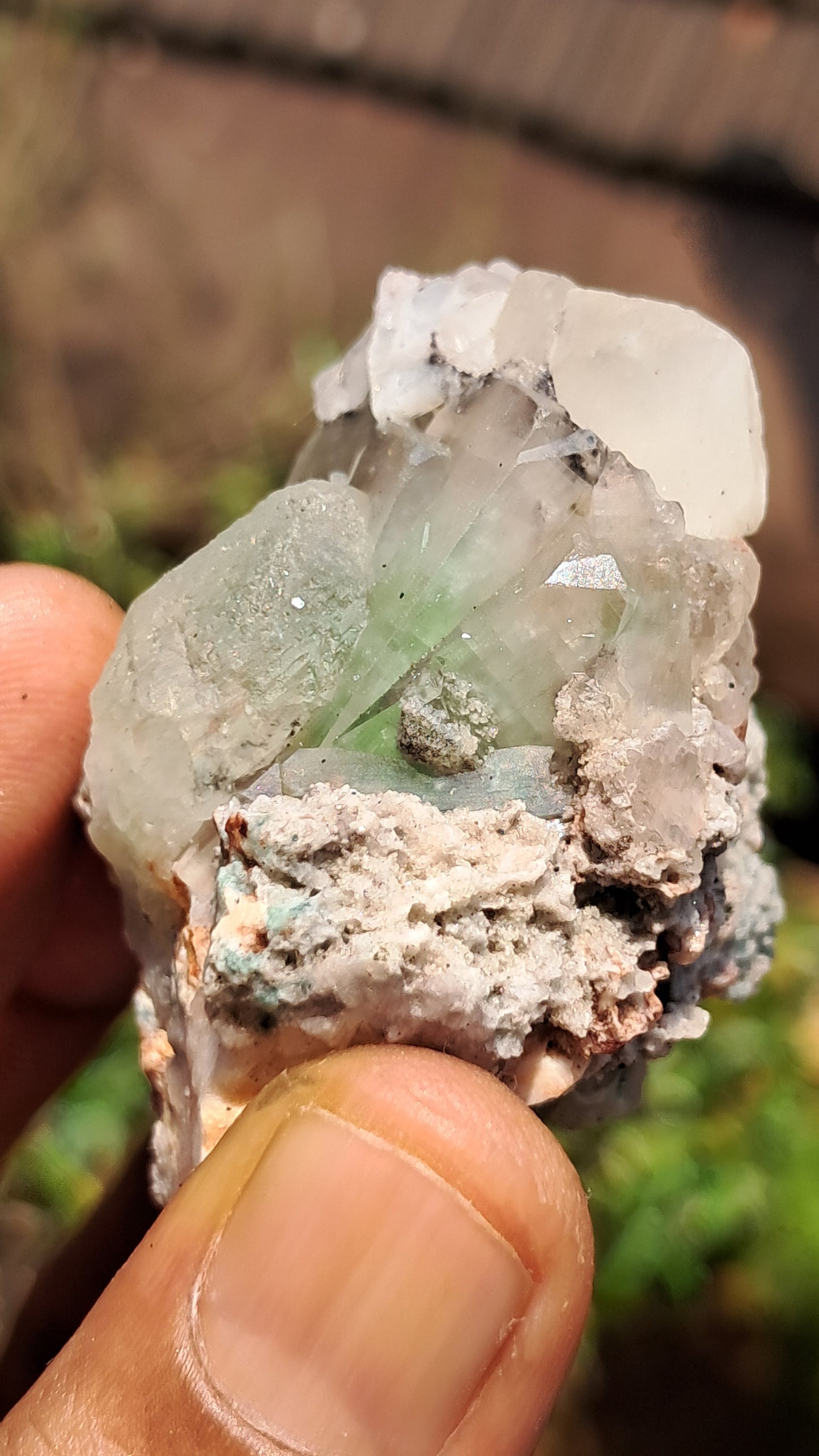 Apofilita Verde (Fluorapofilita) en Matriz (Ajanta) Cristal Natural | Muestra Mineral #GA24