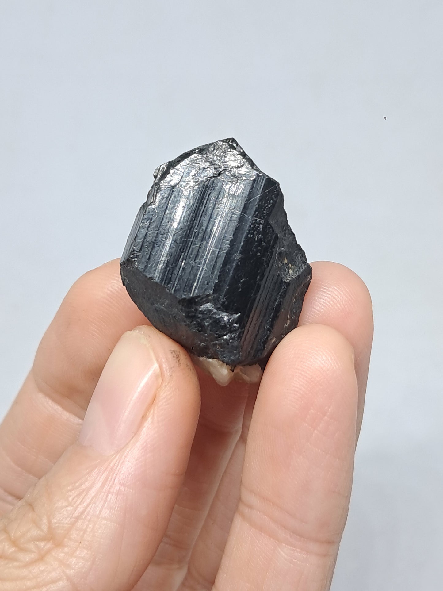 Black Tourmaline Crystal (Karnataka) Natural Stone | Mineral Specimen #BT9