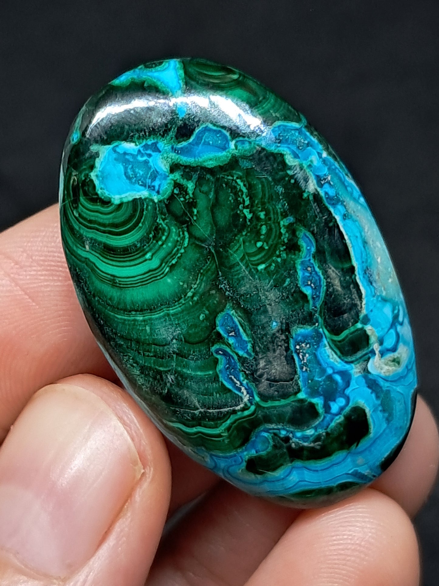 Chrysocolla Malachite Palmstone | Polished Natural Stone | Good Quality