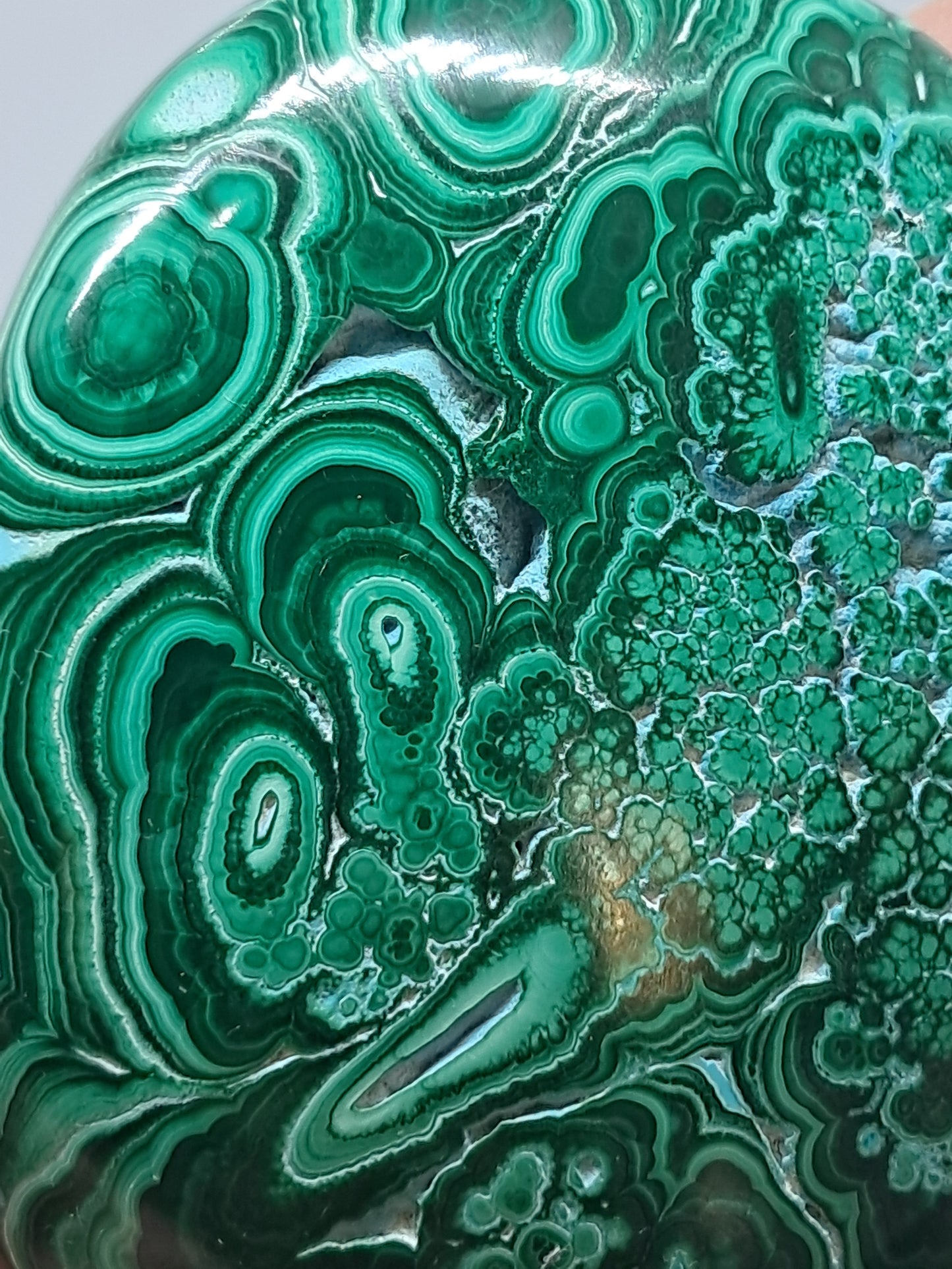 Malaquita con crisocola | Mitad pulida, mitad bruta | Piedra natural | Tamaño grande | Hermosos diseños #CM18