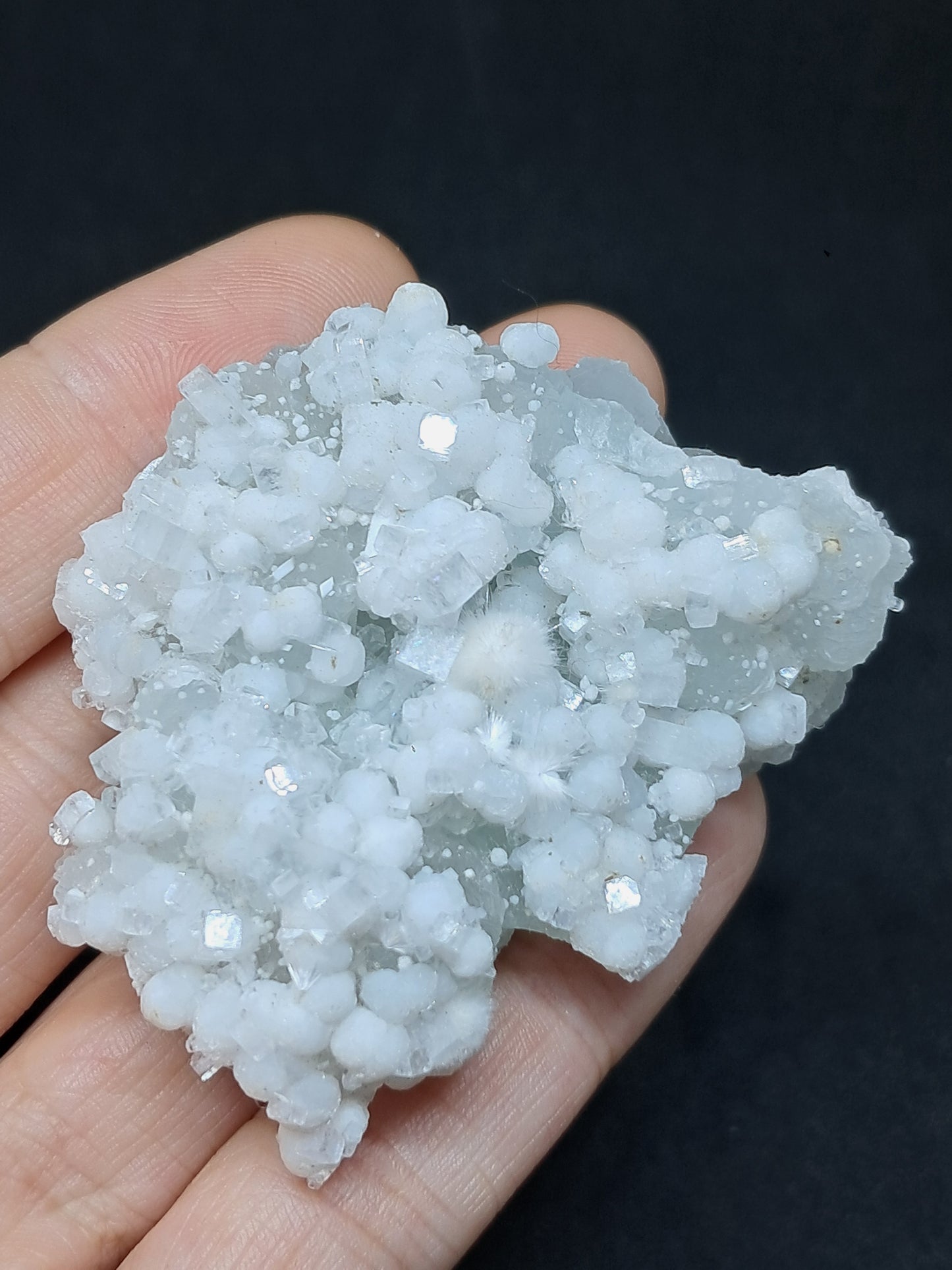 Okenite w/ Gyrolite and Apophyllite on Prehenite Matrix (Mumbai) Mineral Specimen | Collector Grade | Natural Crystal #OK23