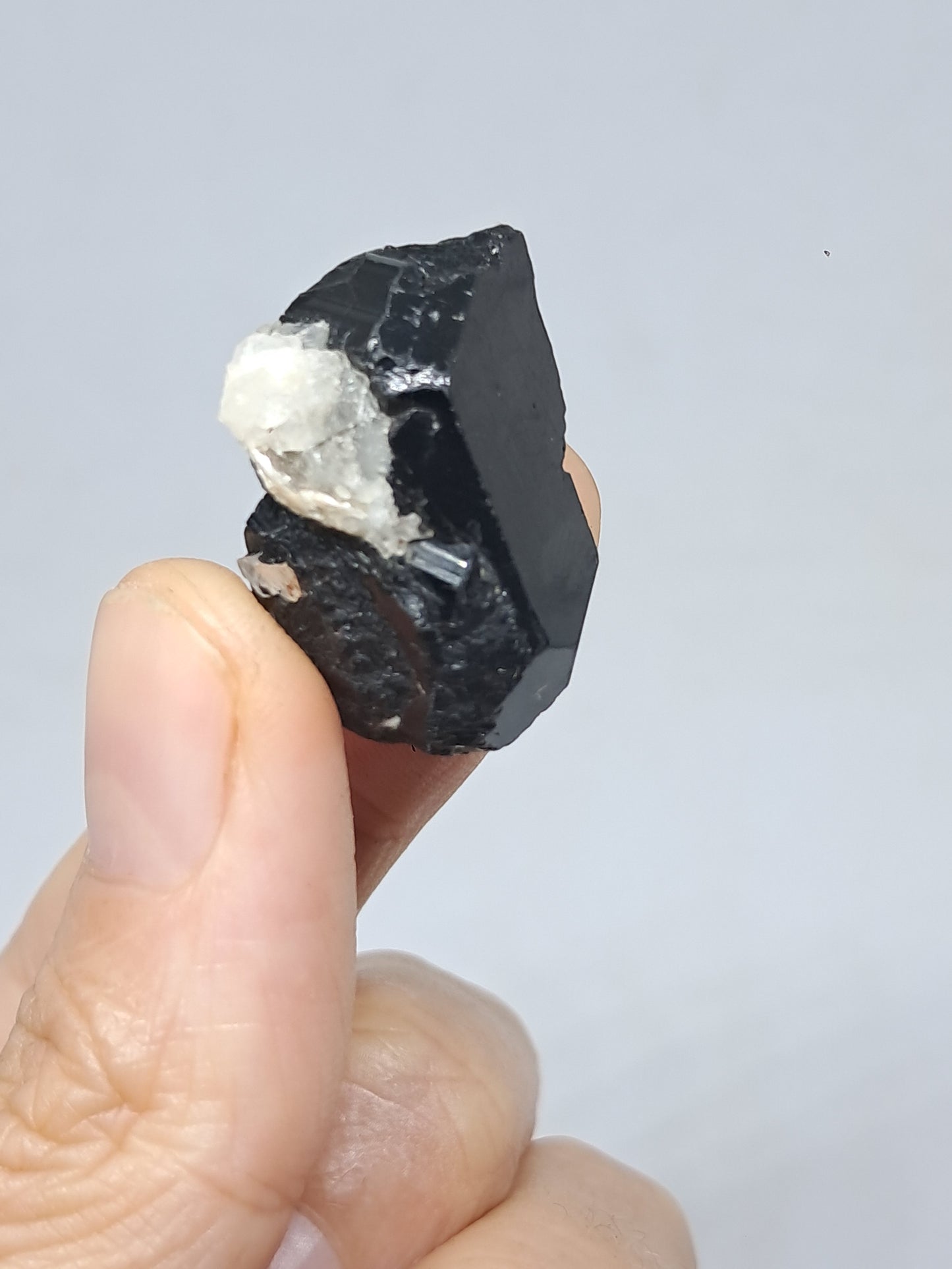 Black Tourmaline Crystal (Karnataka) Naturally Terminated | Natural Stone | Mineral Specimen #BT7
