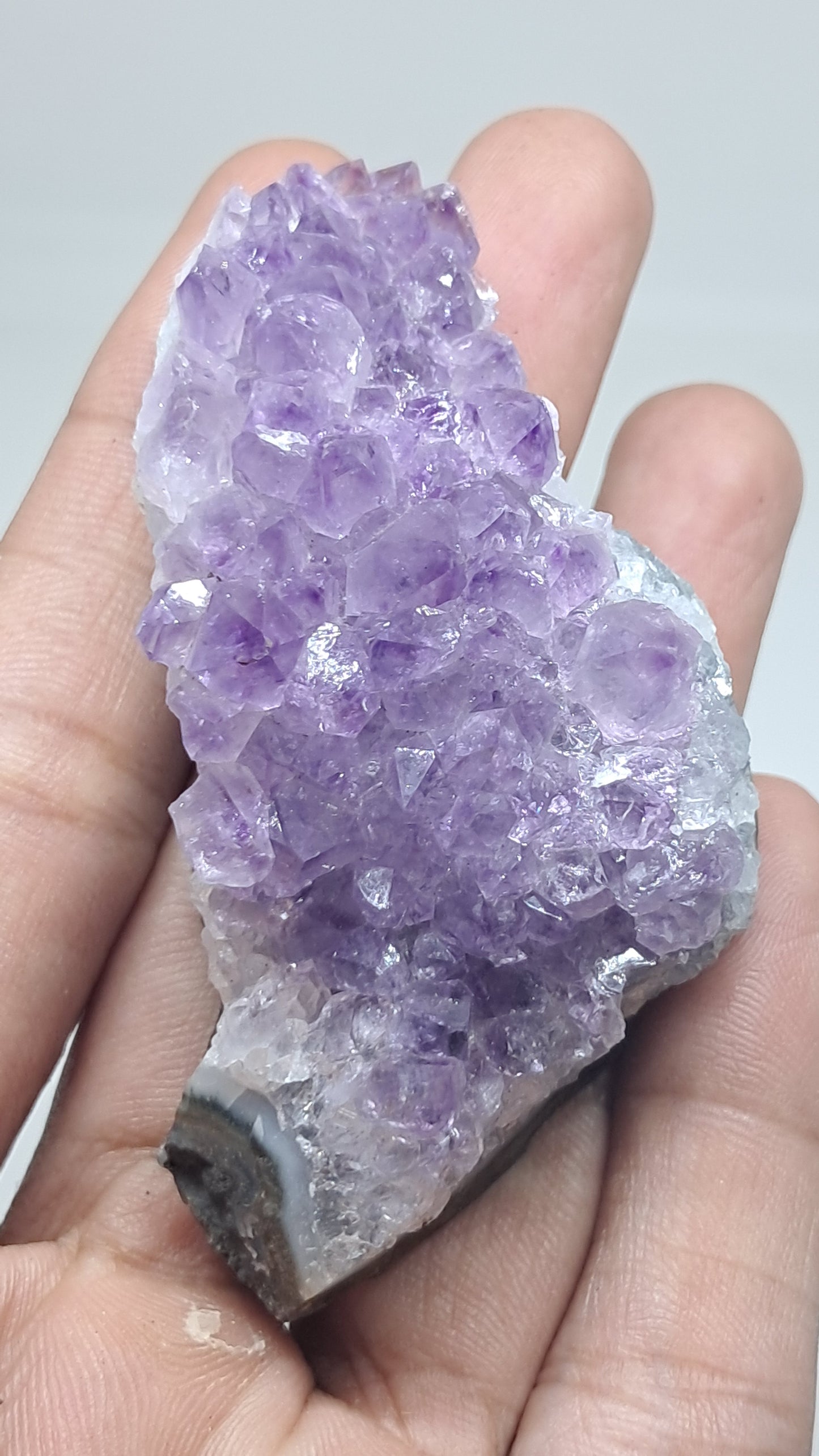 Deep Purple Amethyst (Brazil) | Natural Cluster | Mineral Specimen #AMB11