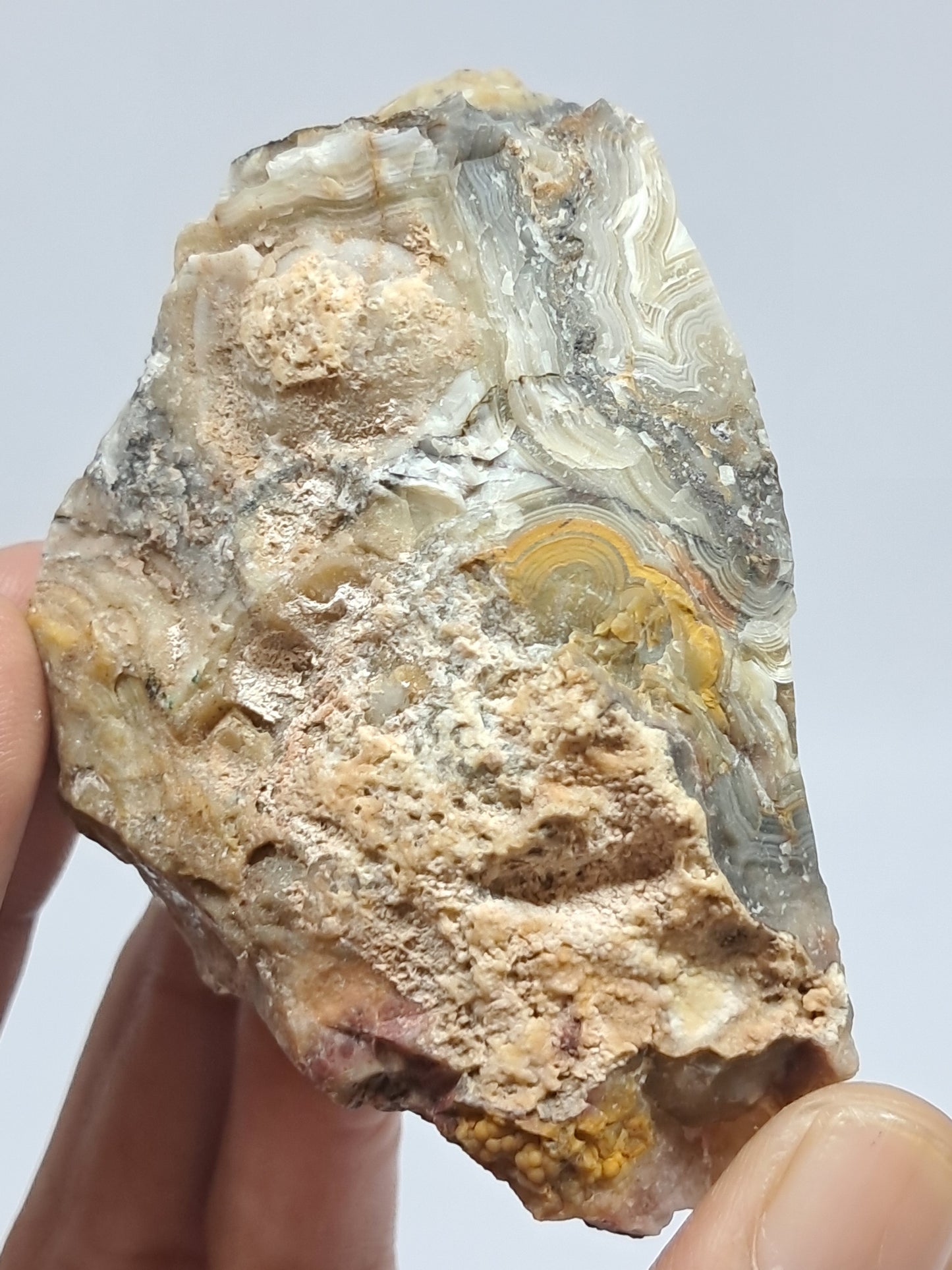 Crazy Lace Agate Rough | Natural Stone | Mineral Specimen #CLA1