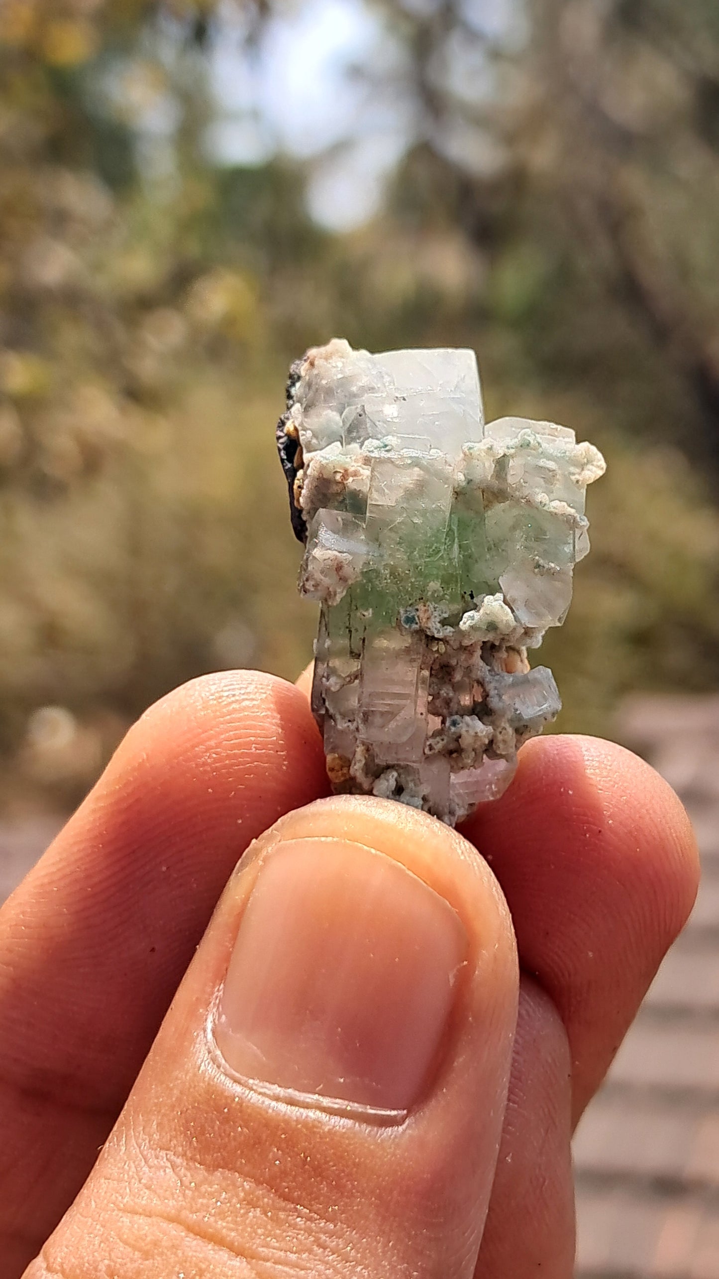 Green Apophyllite (Fluorapophyllite) (Ajanta) Natural Crystal | Mineral Specimen #GA25