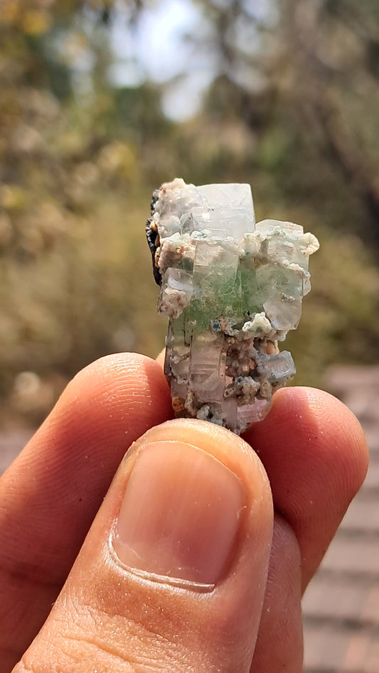 Green Apophyllite (Fluorapophyllite) (Ajanta) Natural Crystal | Mineral Specimen #GA25