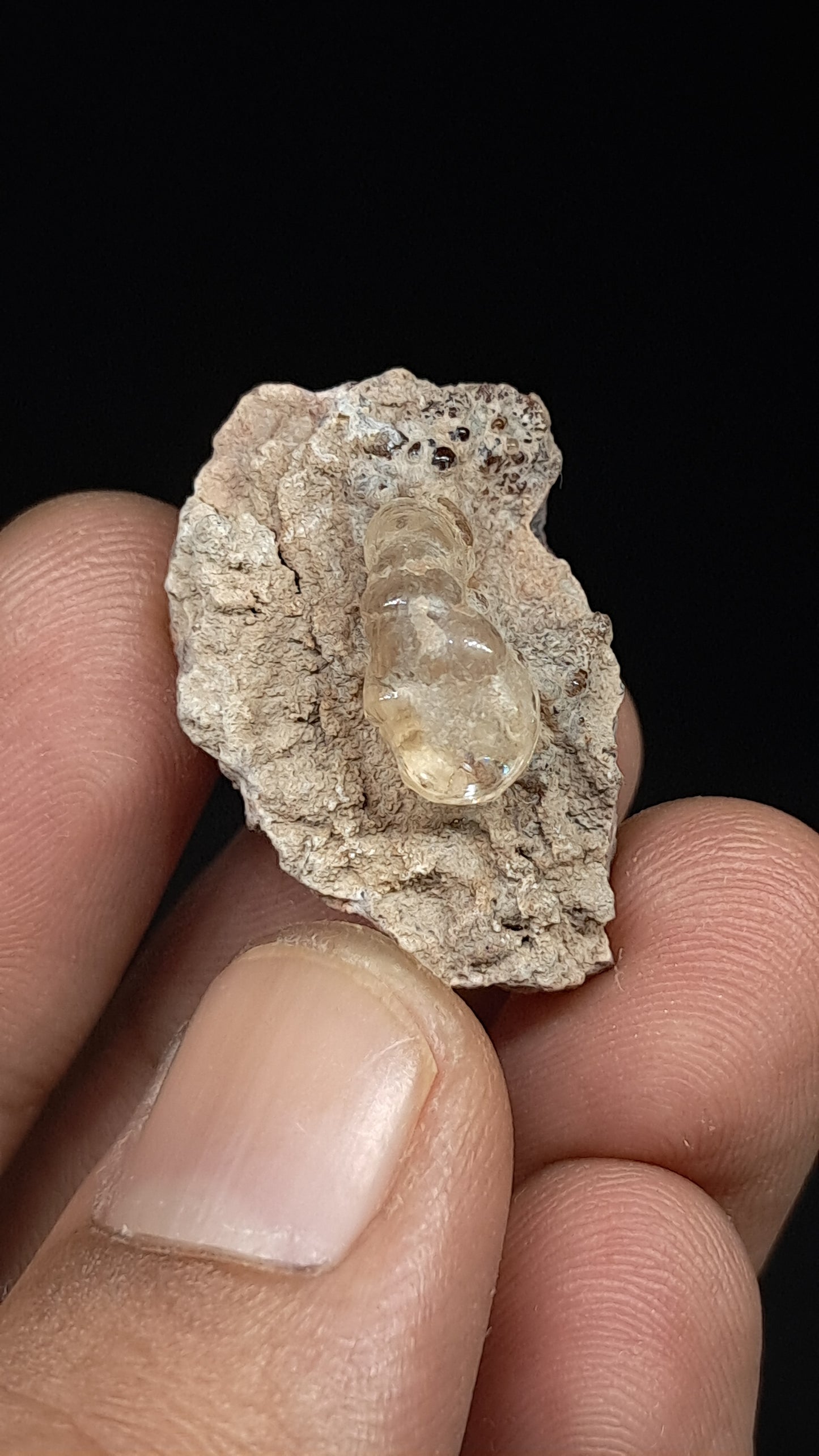 Hyalite Opal on Matrix (Mexico) Rough Crystal Stone | UV-Reactive Mineral Specimen #OH5
